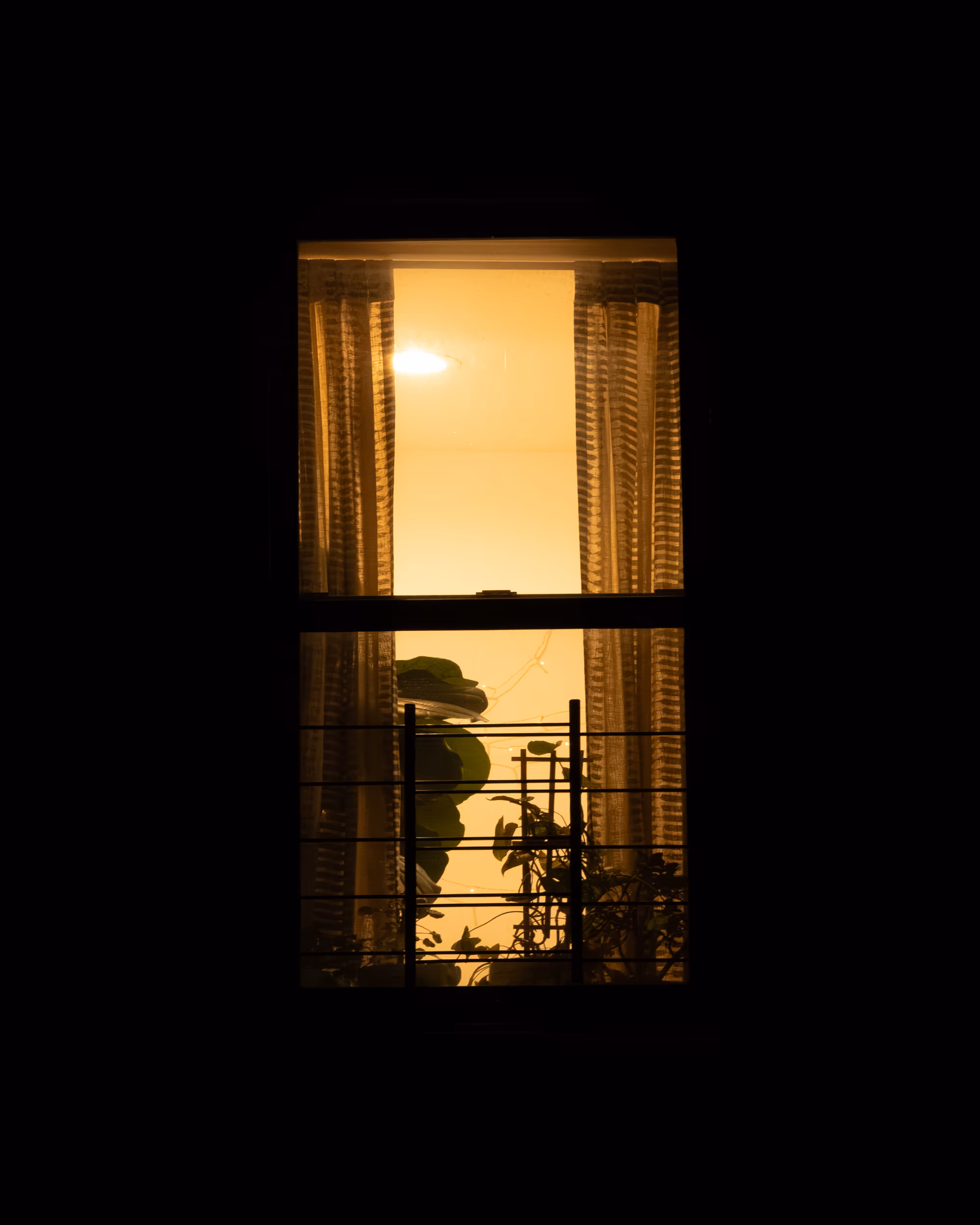 WINDOW 665