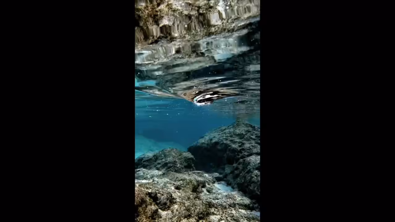 Ocean Twister Full Video