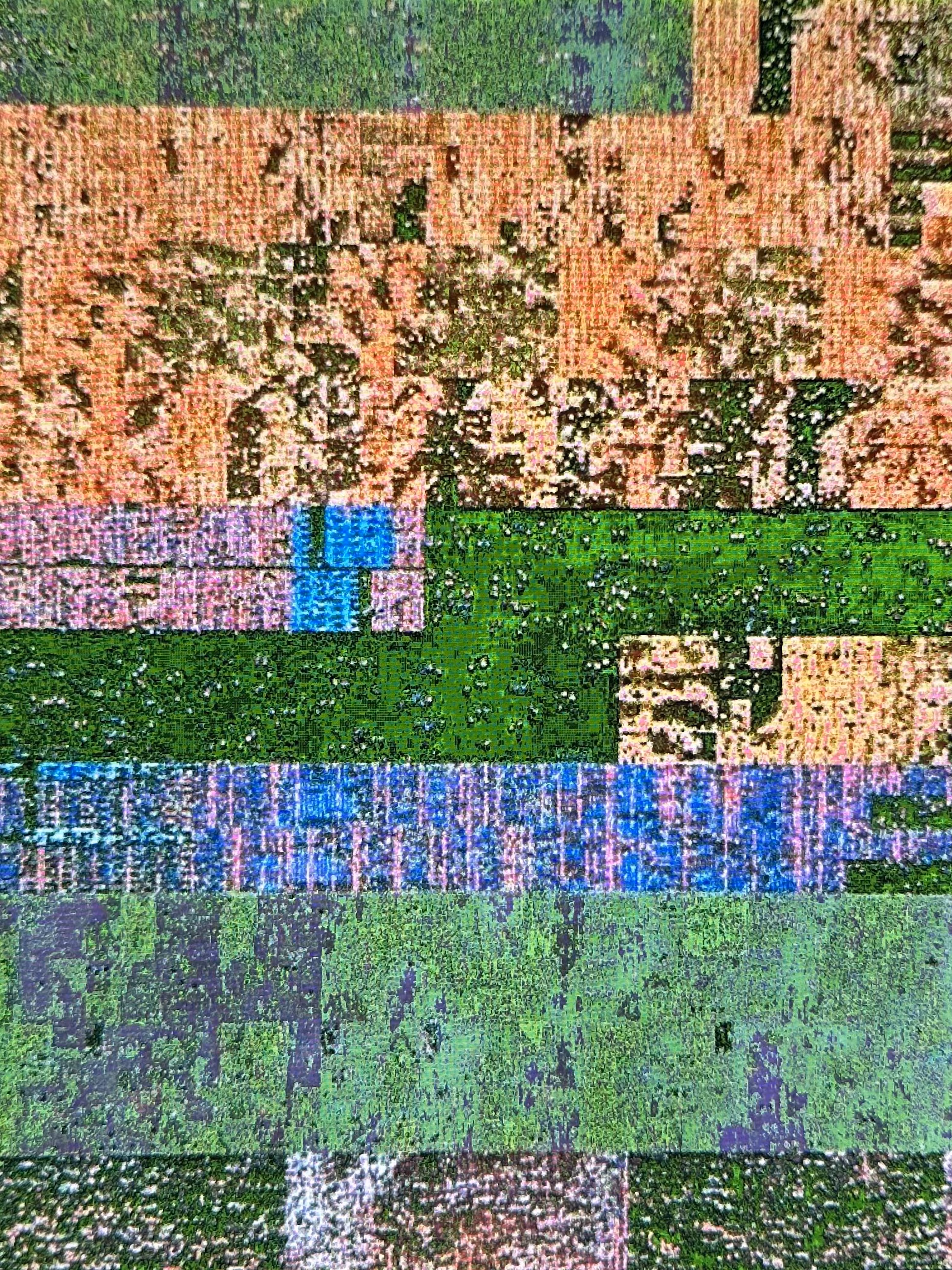LOWREZ099