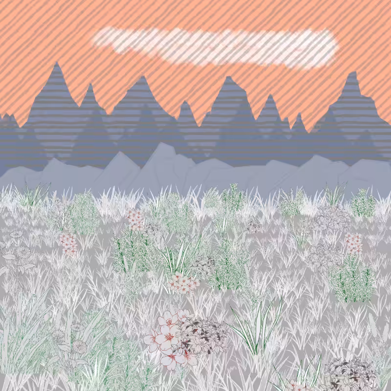 Mountain Meadows #46