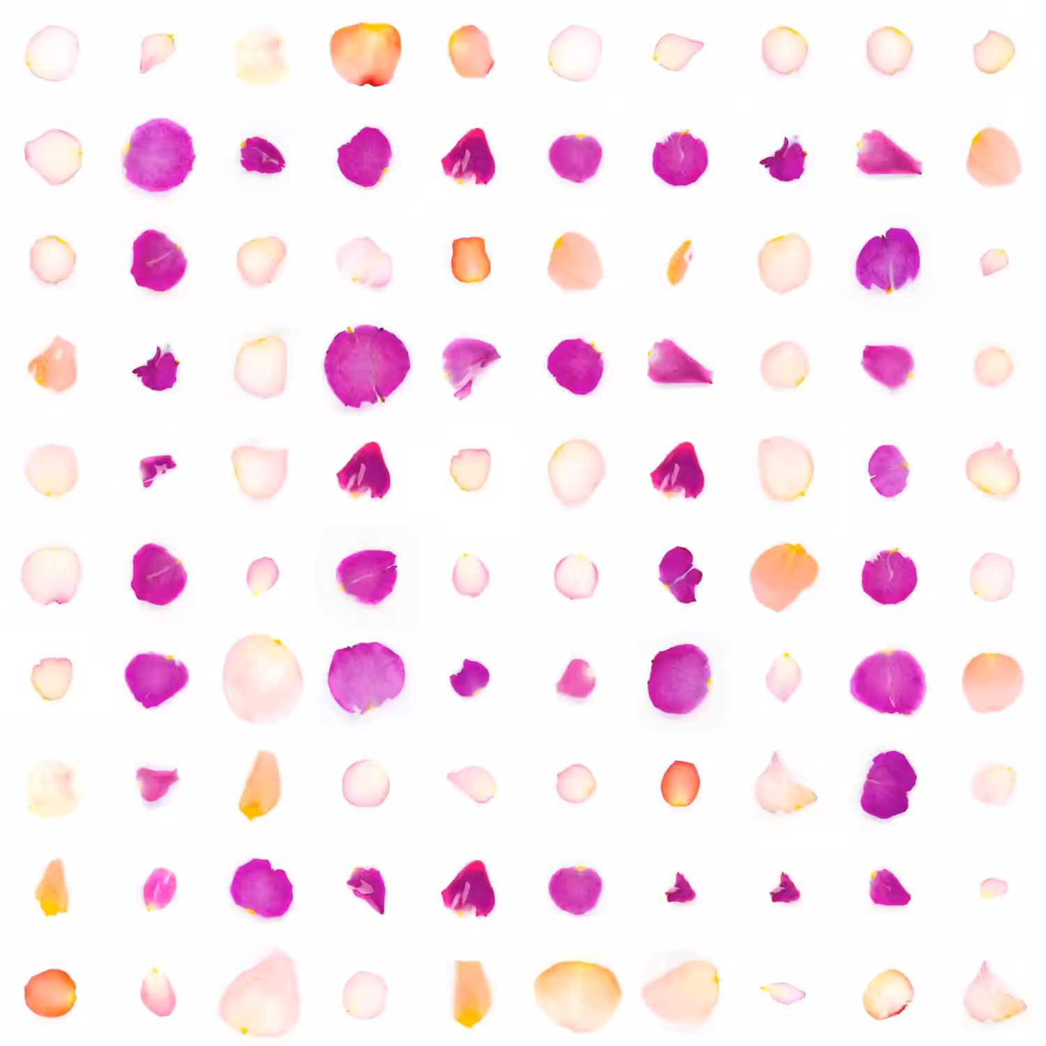 Infinite Petals 10x10#2550