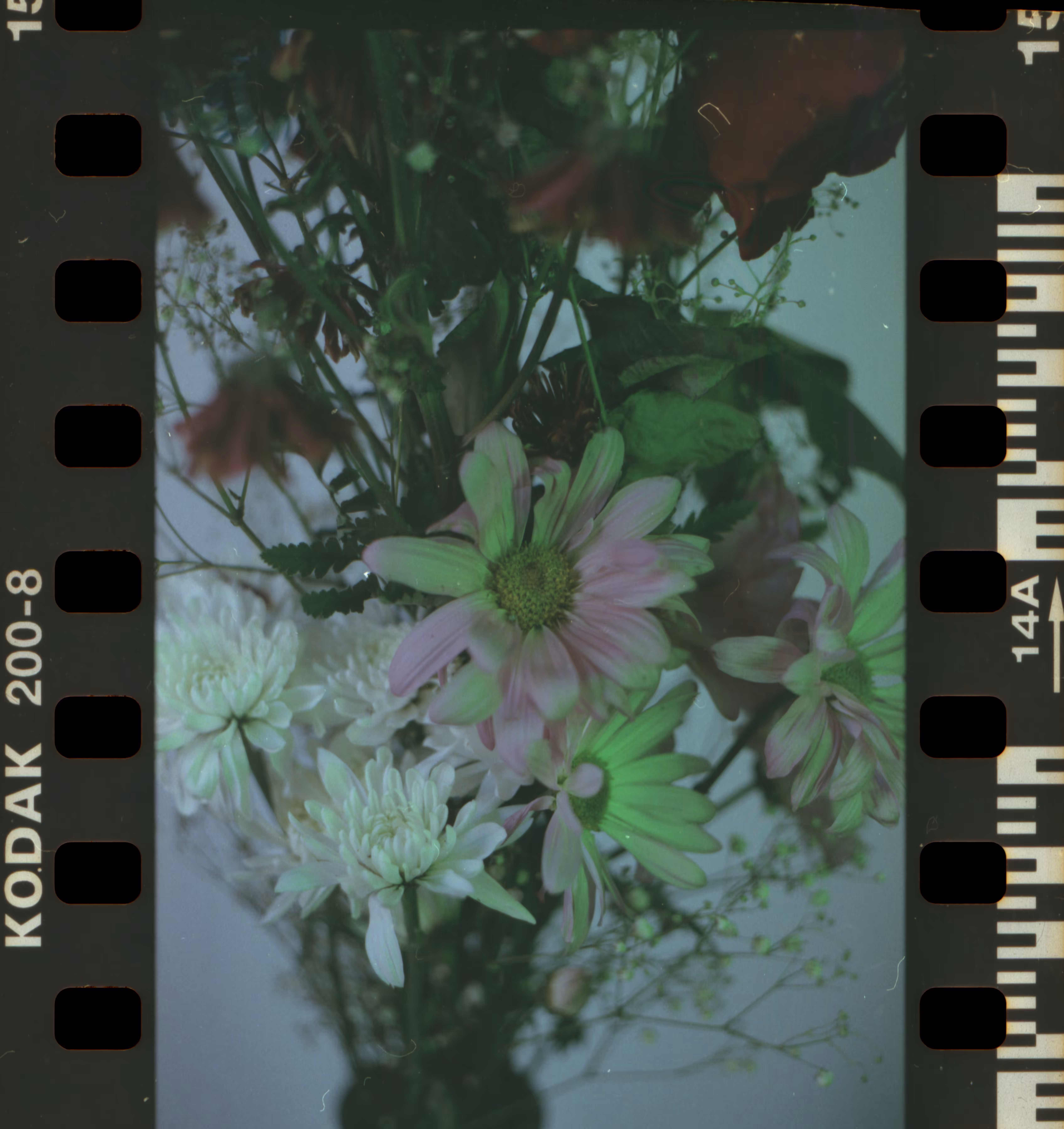 Color + Frame 15