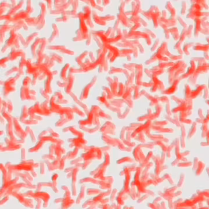 GENERATIVE COLOR -01