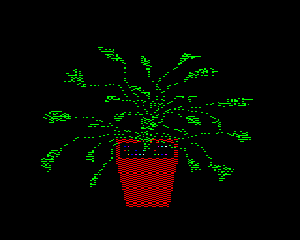 px.FLORA.001