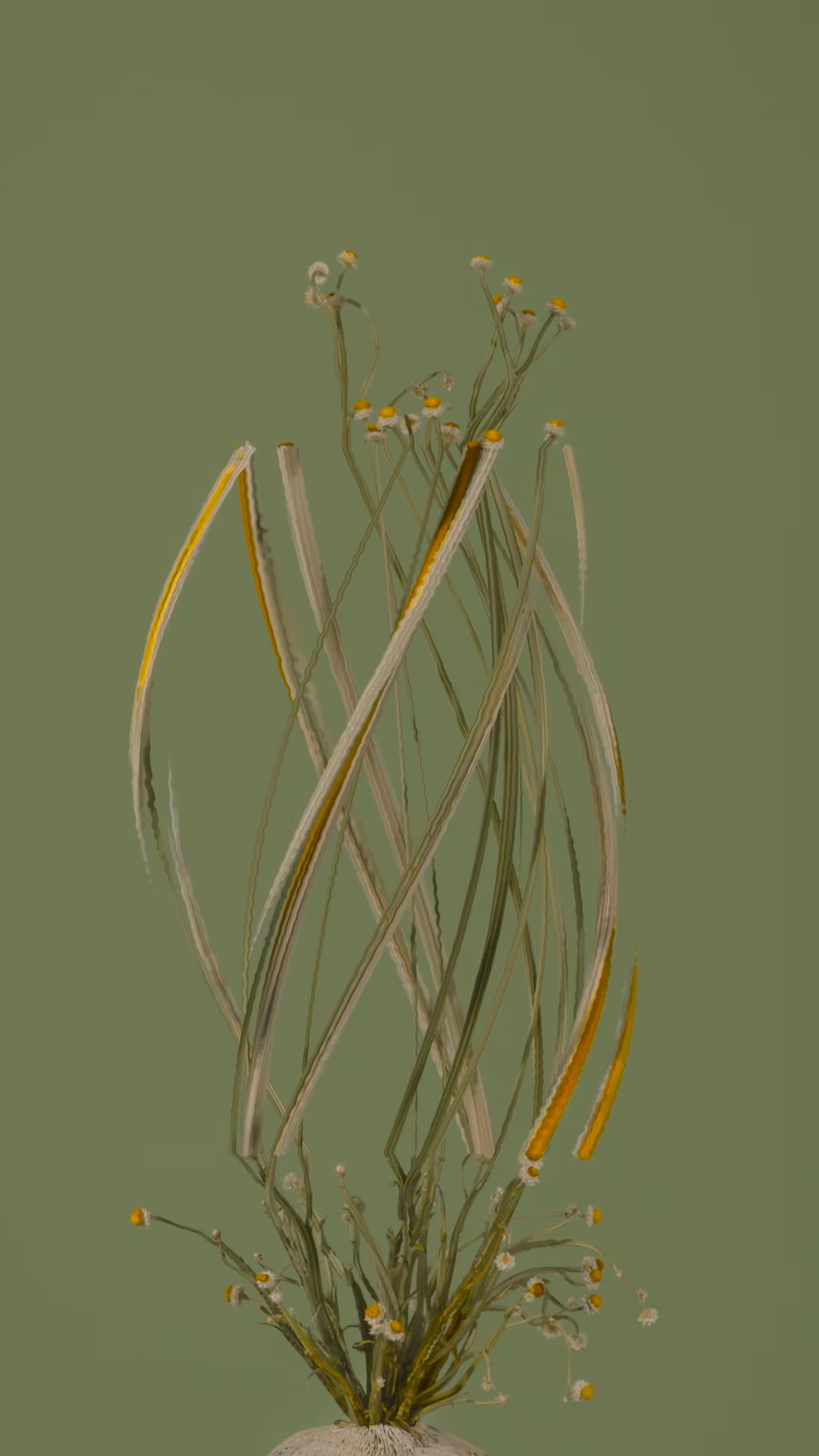 Winged Everlasting, still 