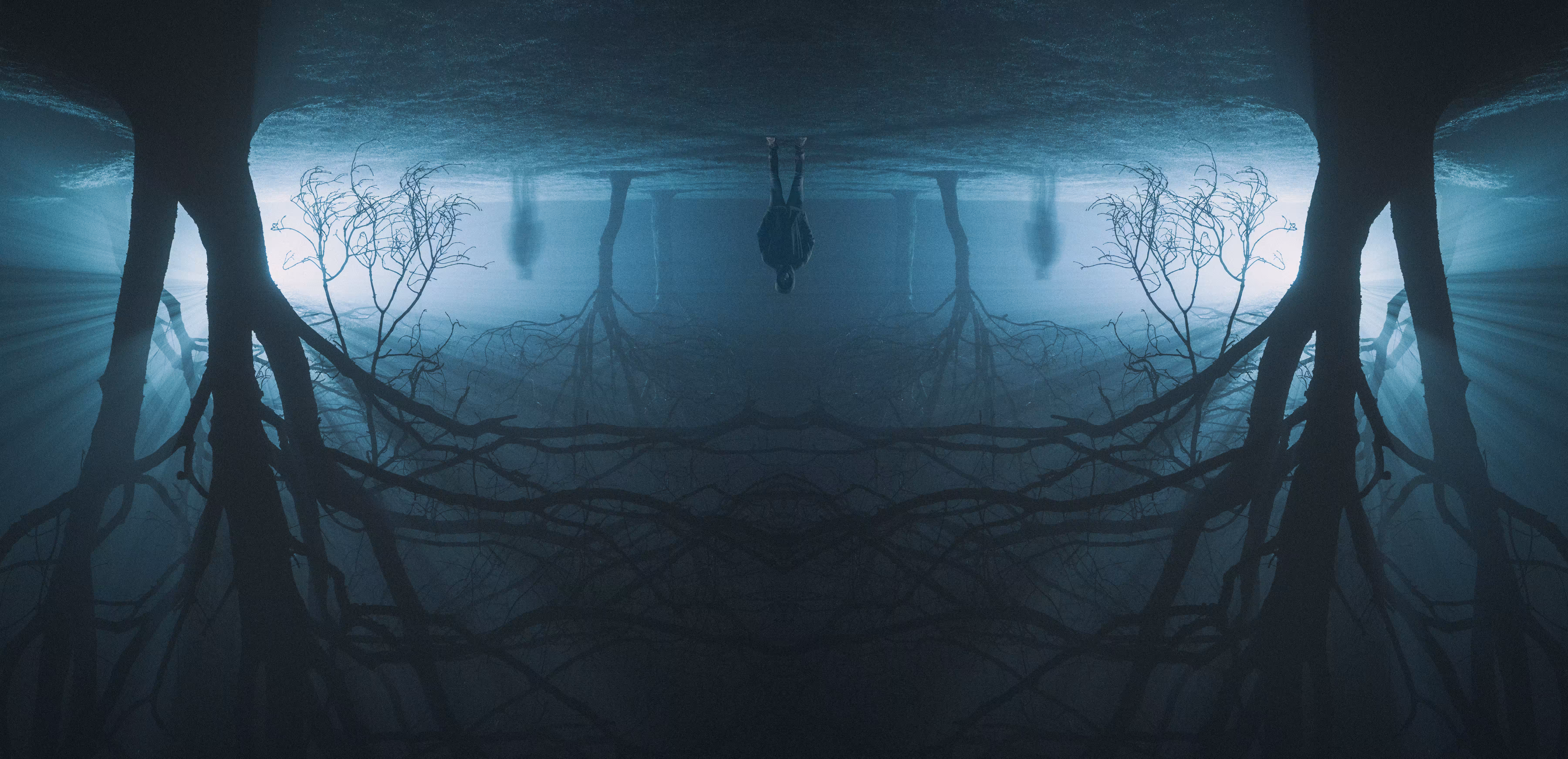The Upside Down VI