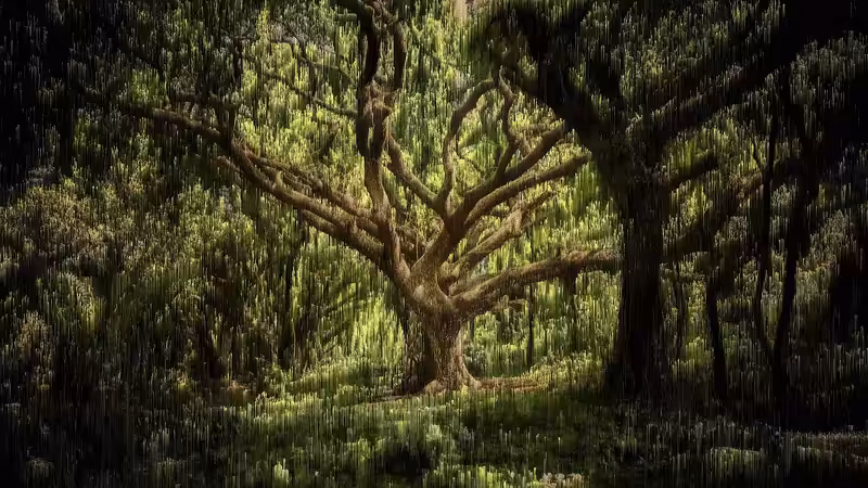 Breathing Forest