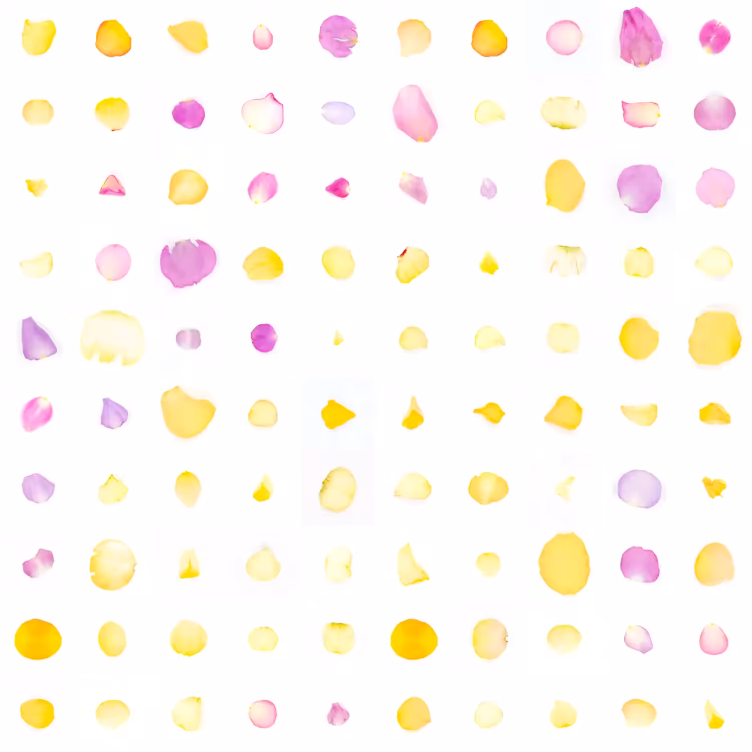 Infinite Petals 10x10#2221