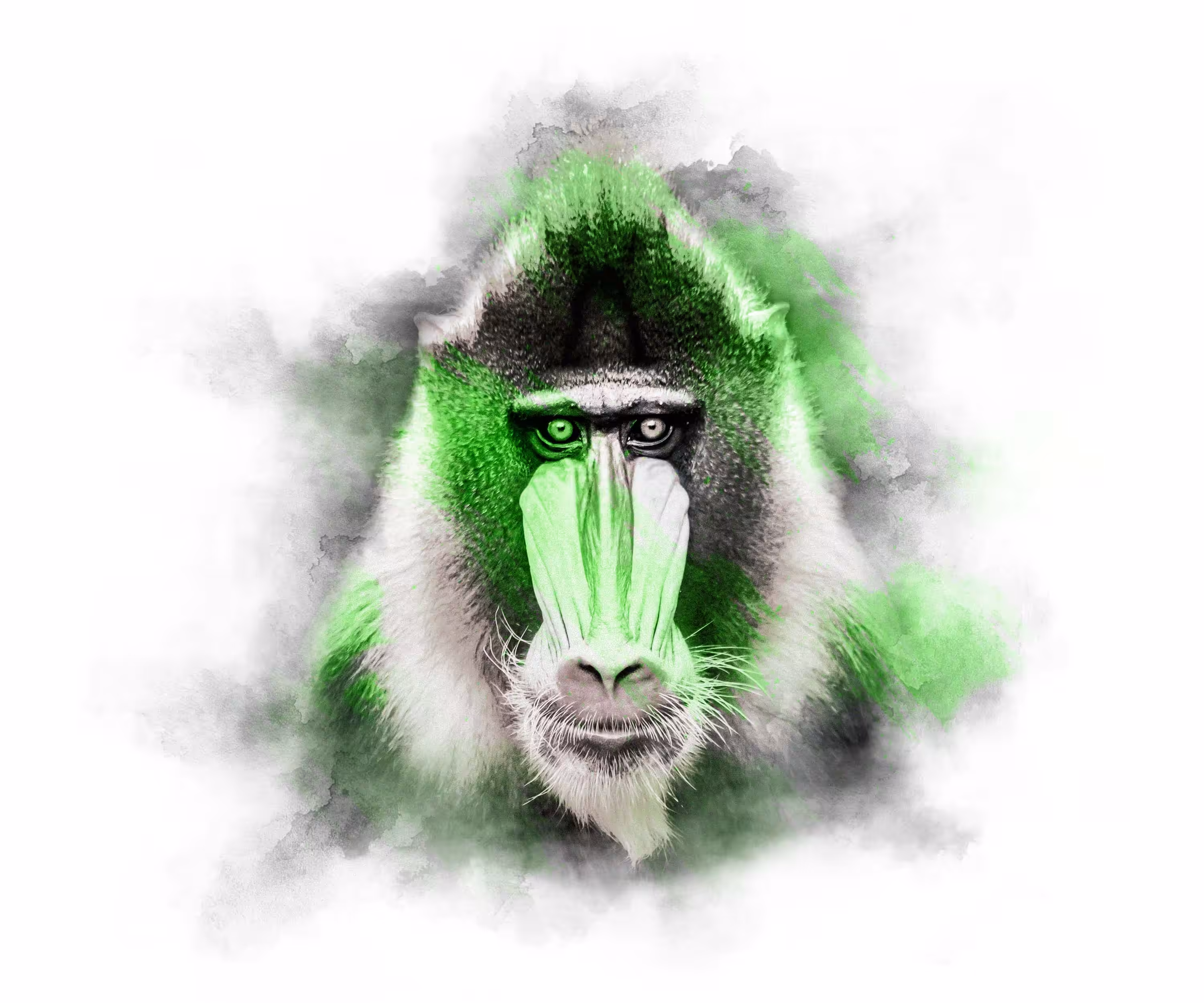The Animal Kingdom Collection: LIME SERIES - MANDRILL