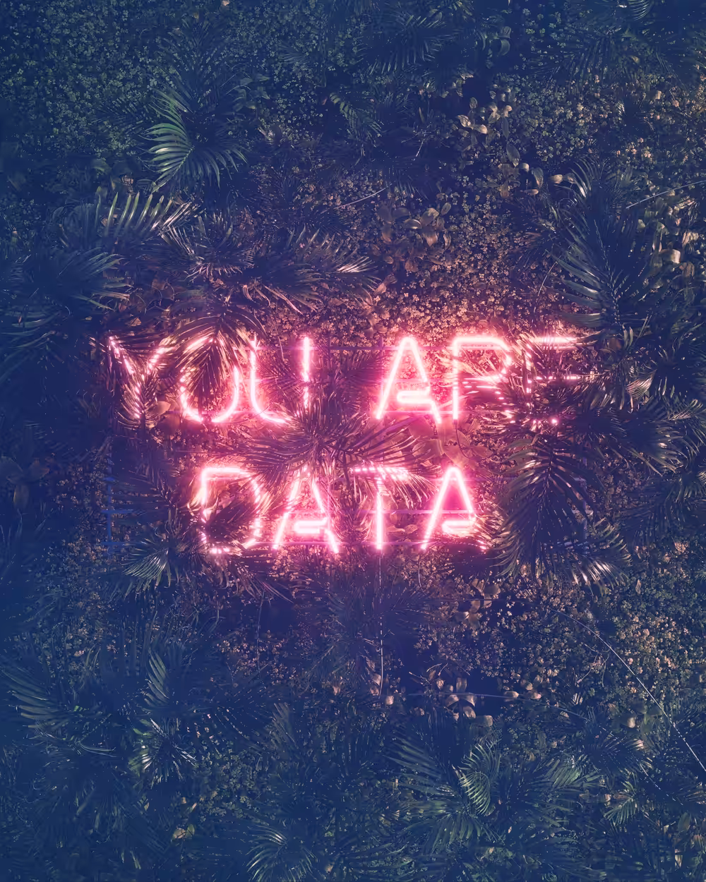 You are data