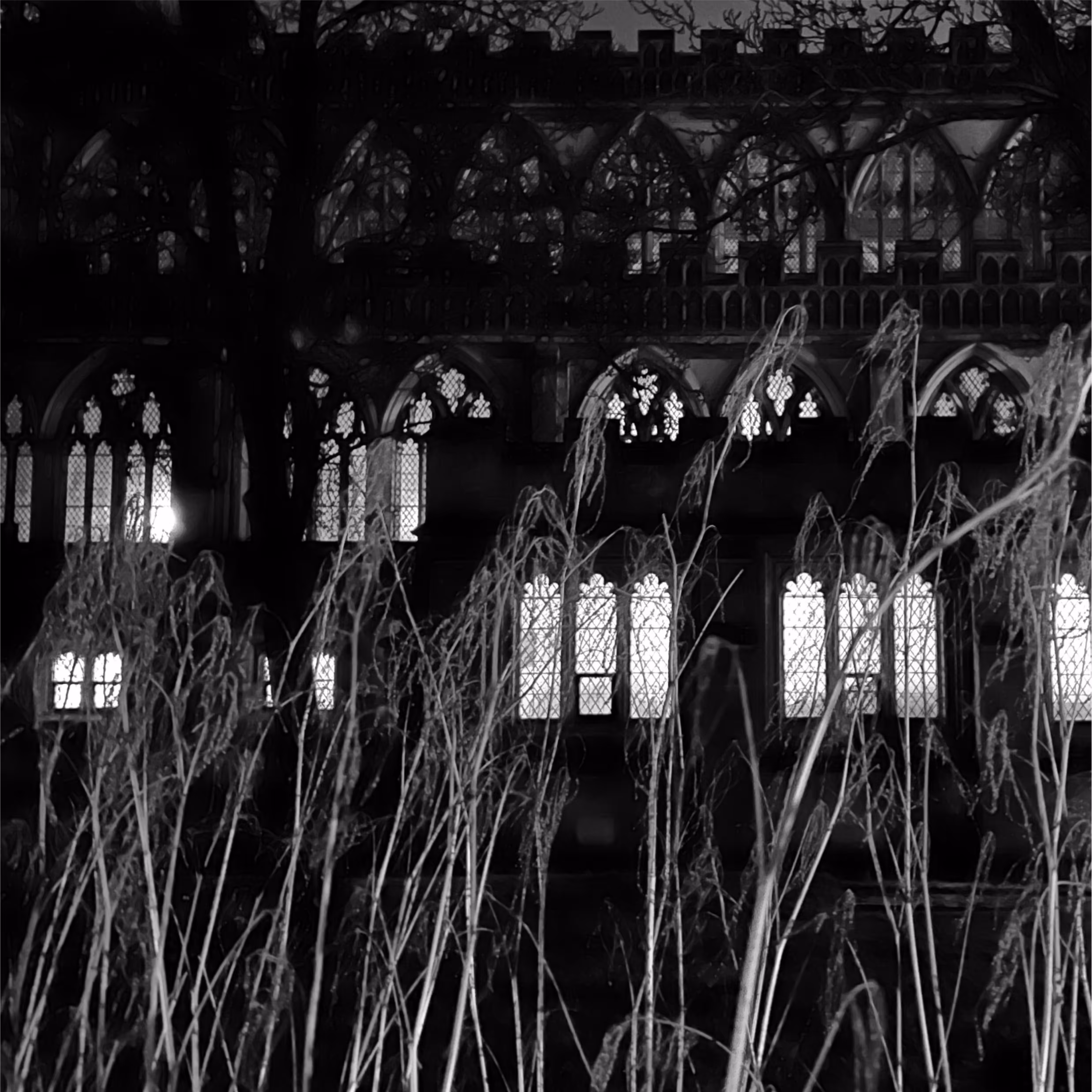 Photograph 46