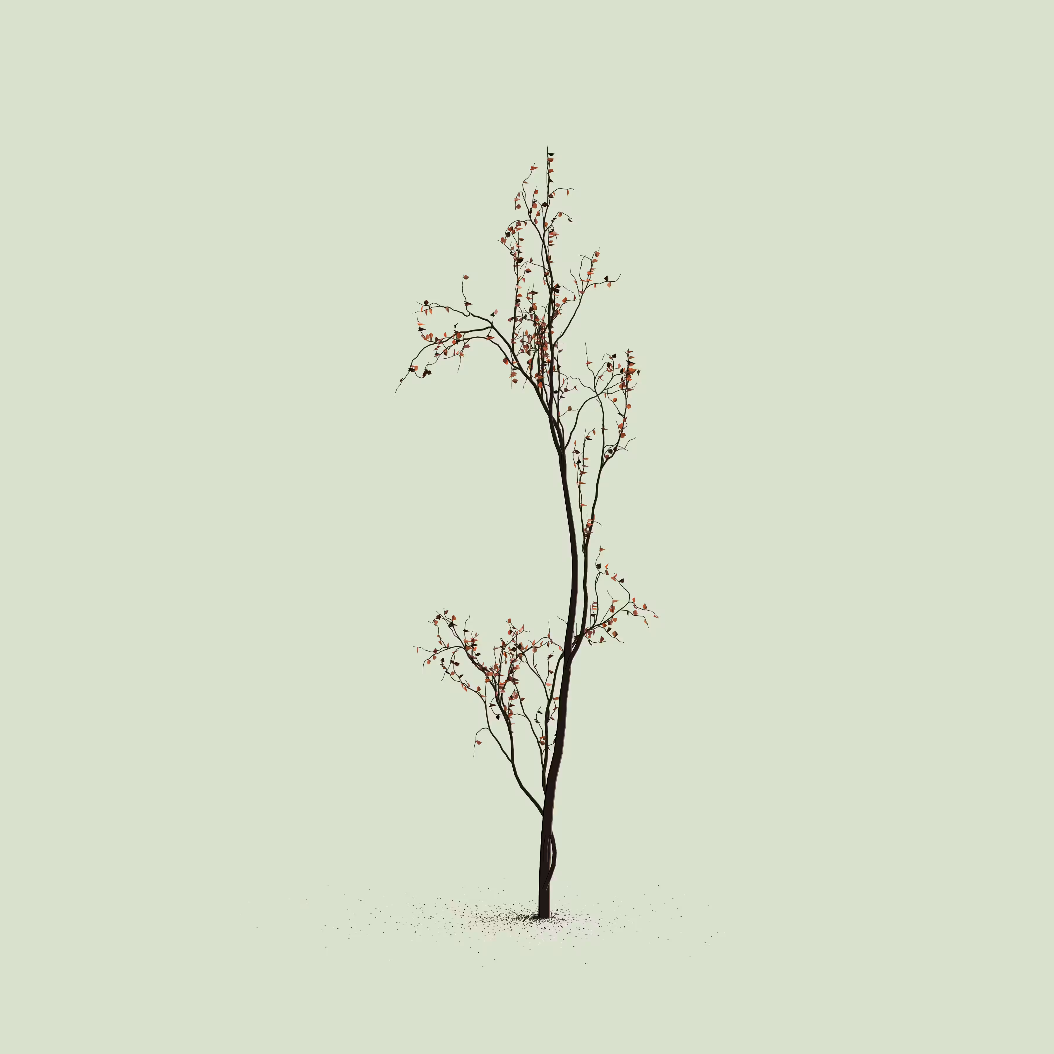 Little Trees #77