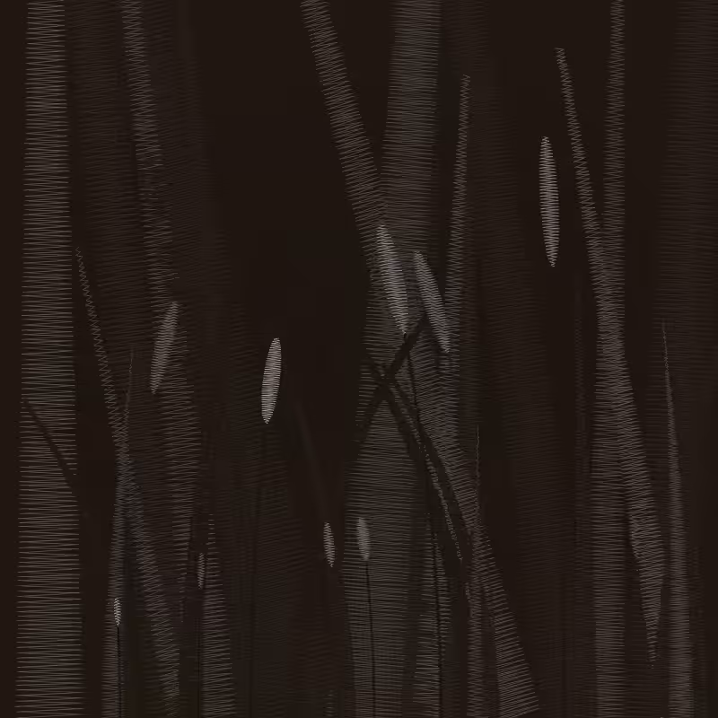 ZigZag Garden #73
