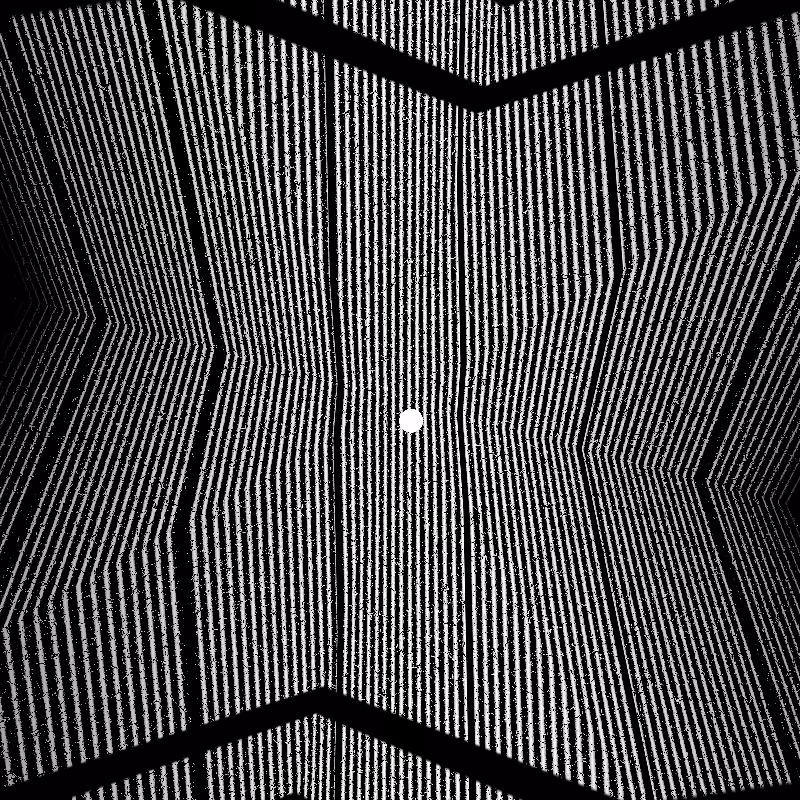 CARBON #41