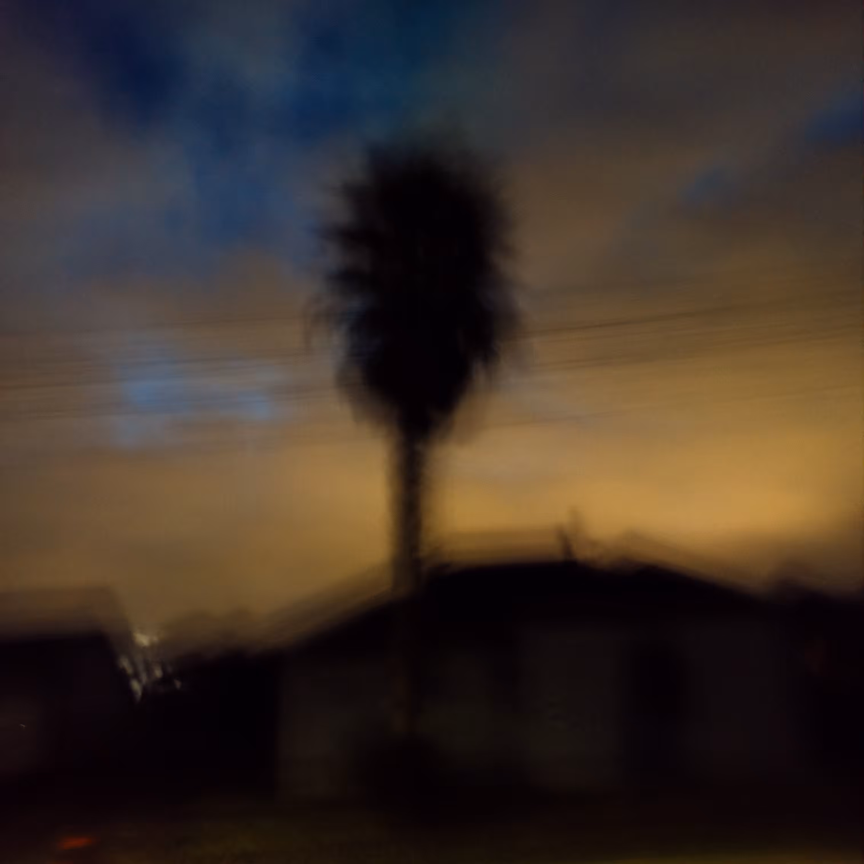 Palm Afterglow
