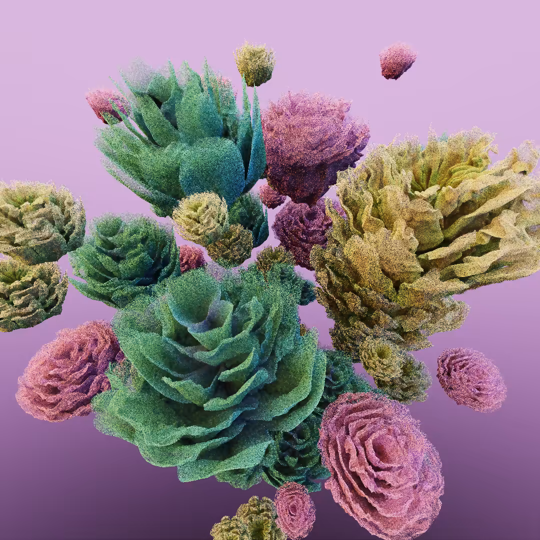 rosarium #21