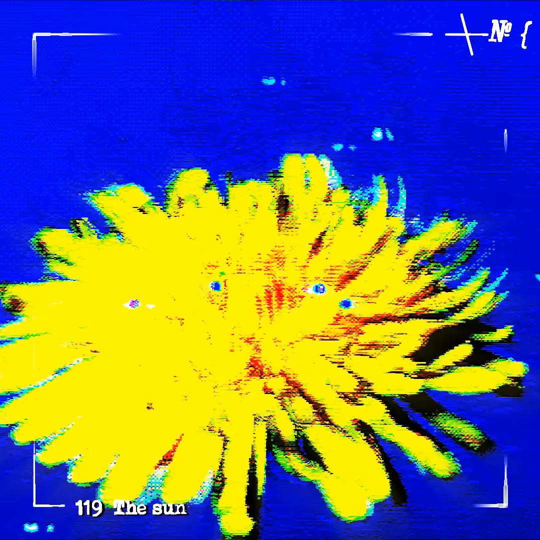 119 The sun