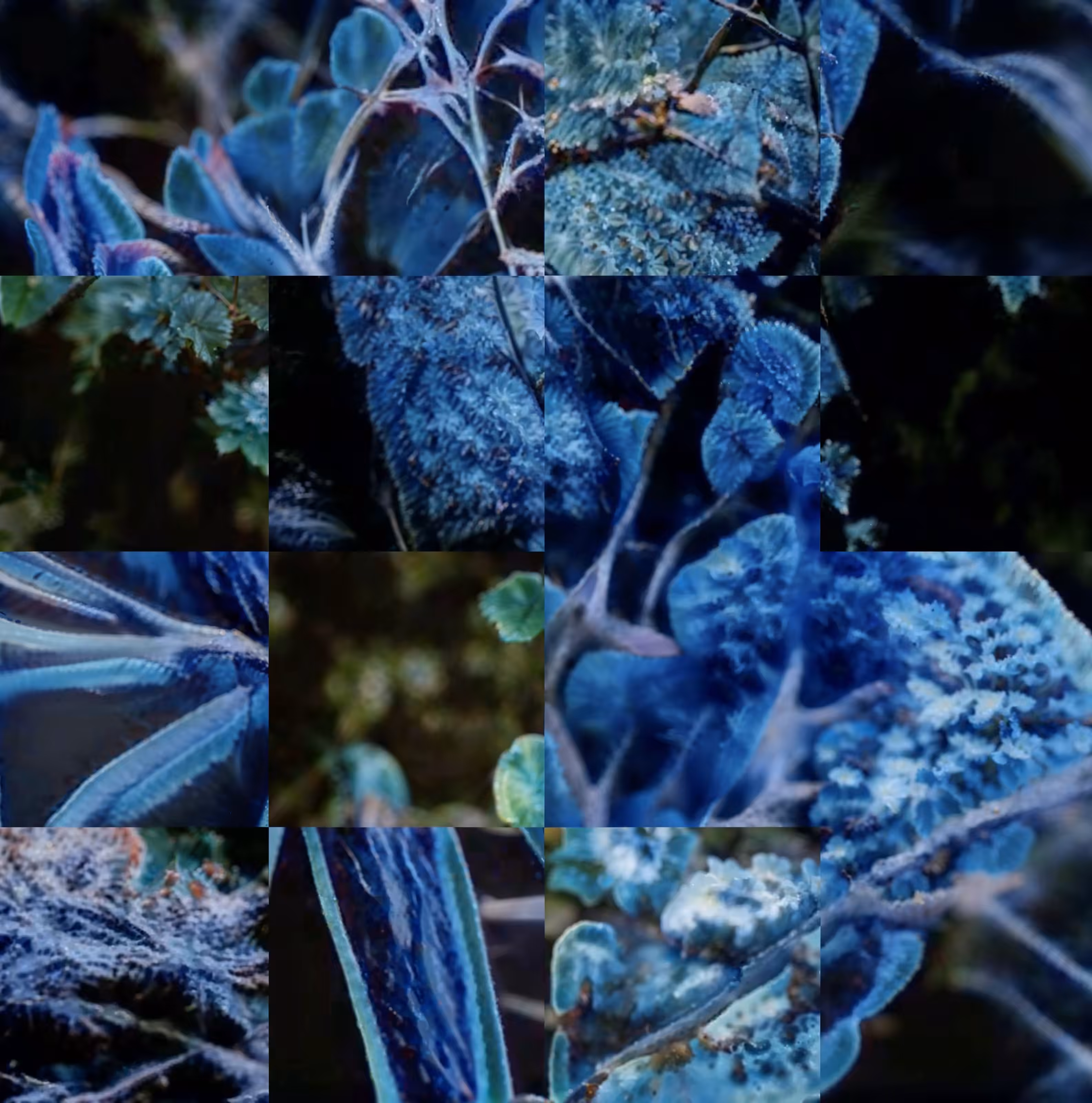 Views of Seasons: March