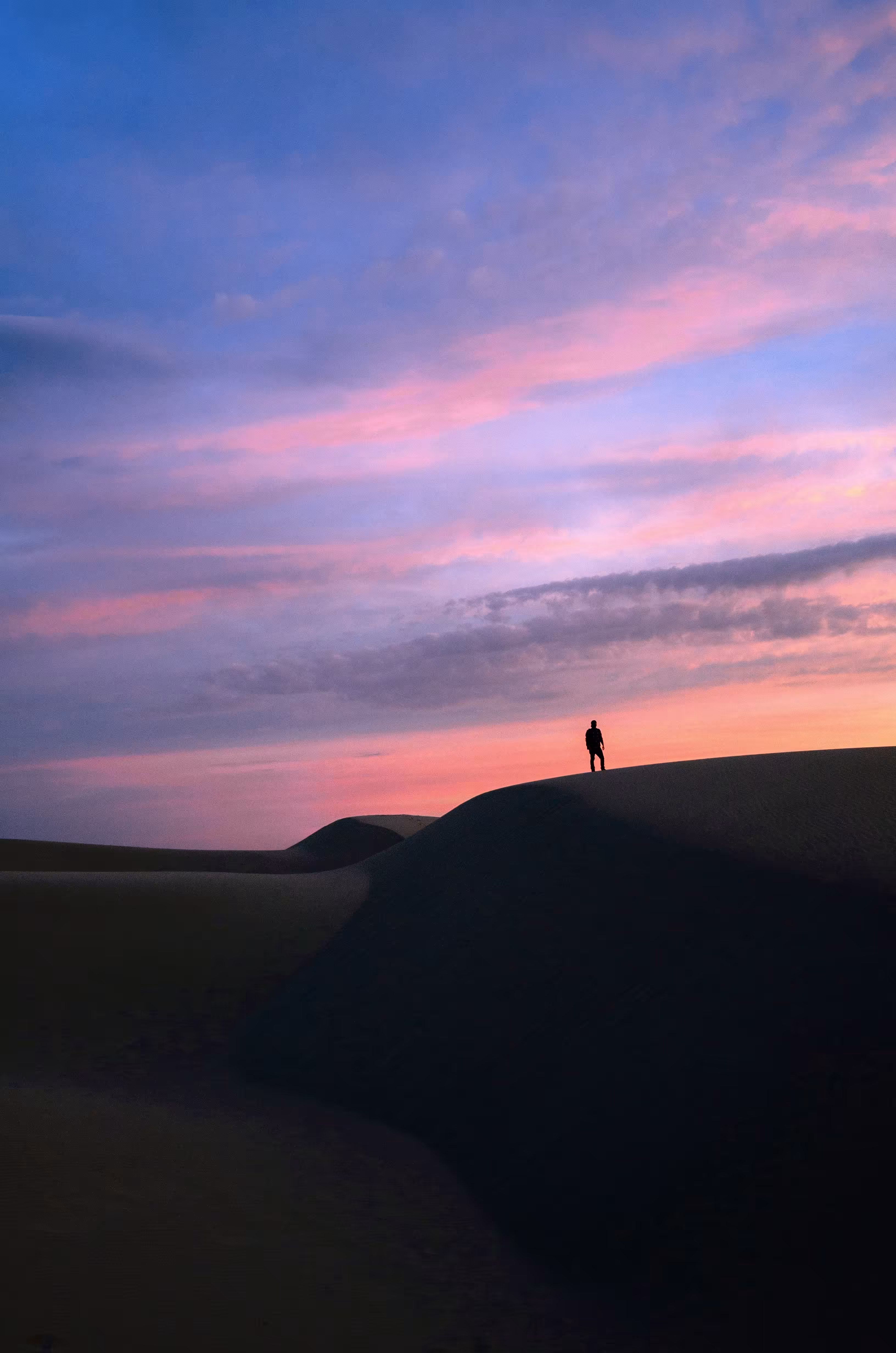 Dune Chaser