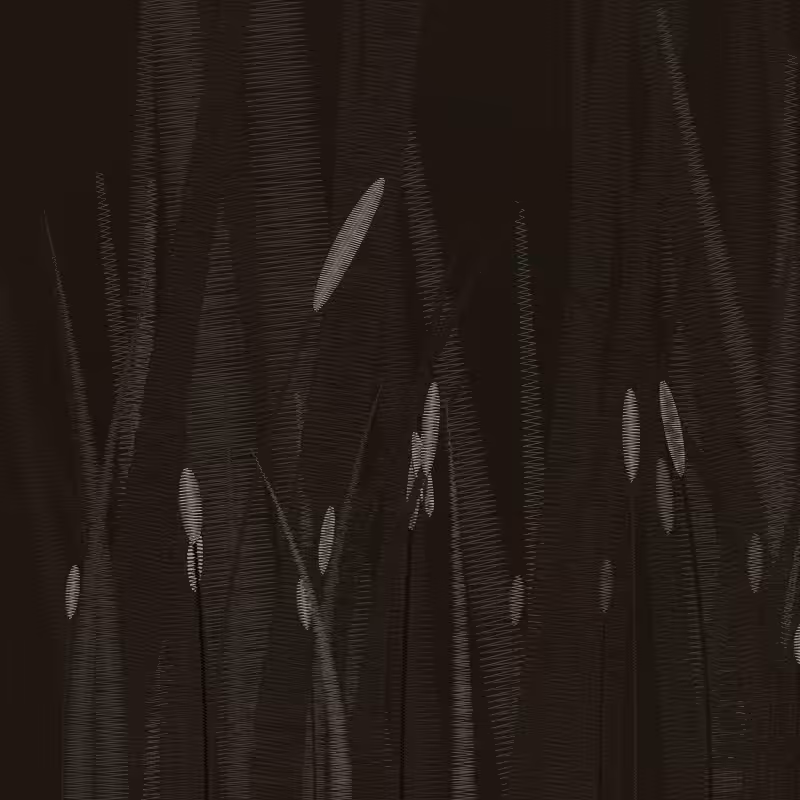 ZigZag Garden #39