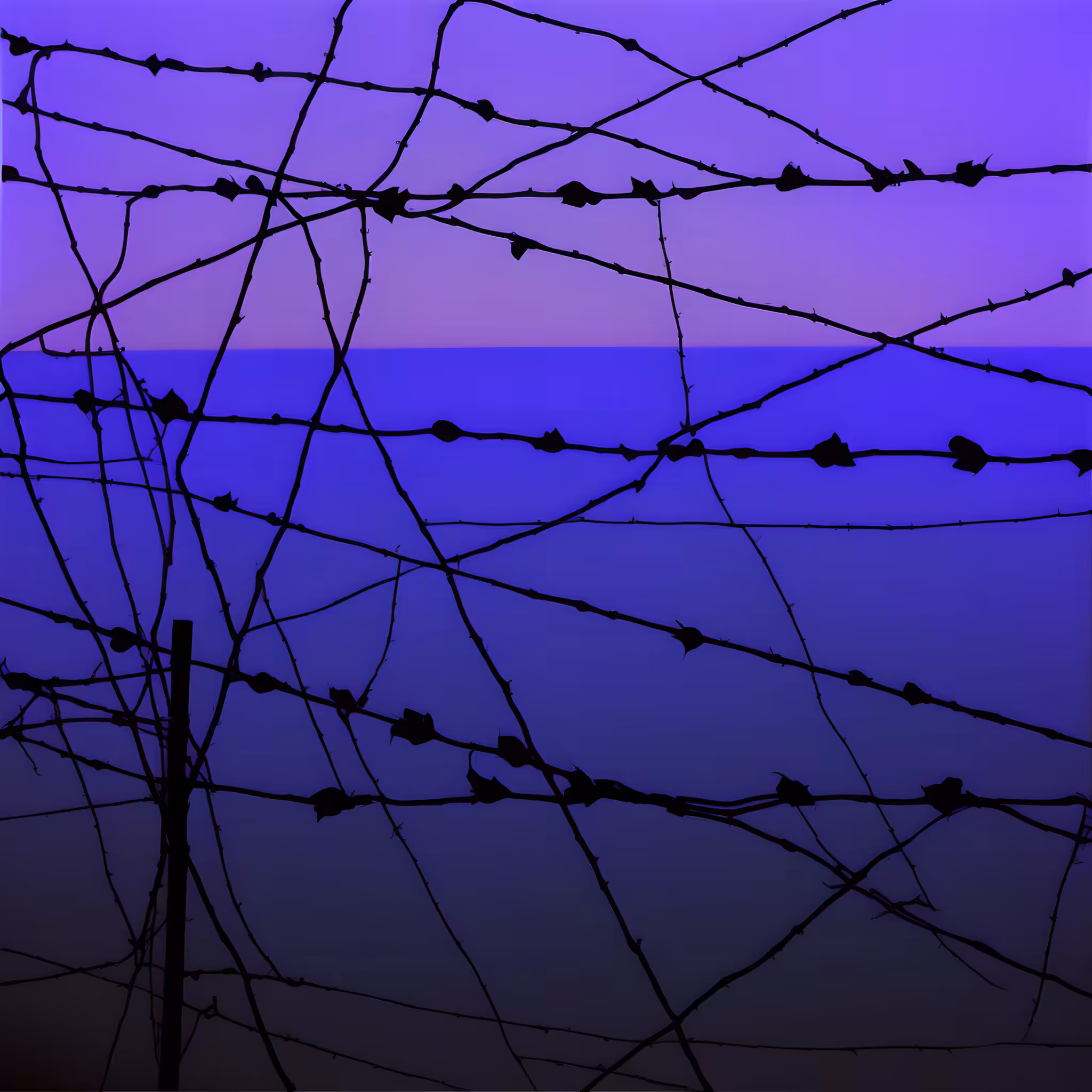 Between the hurricane and the wind #29