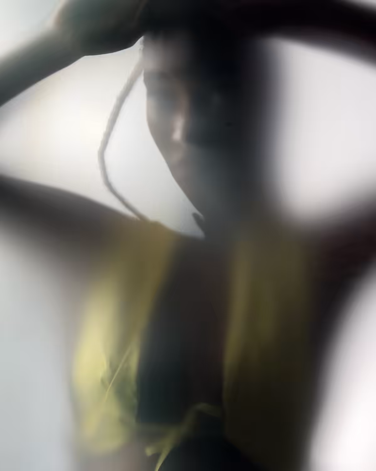 Glass Butterfly: Frida Cash Flow