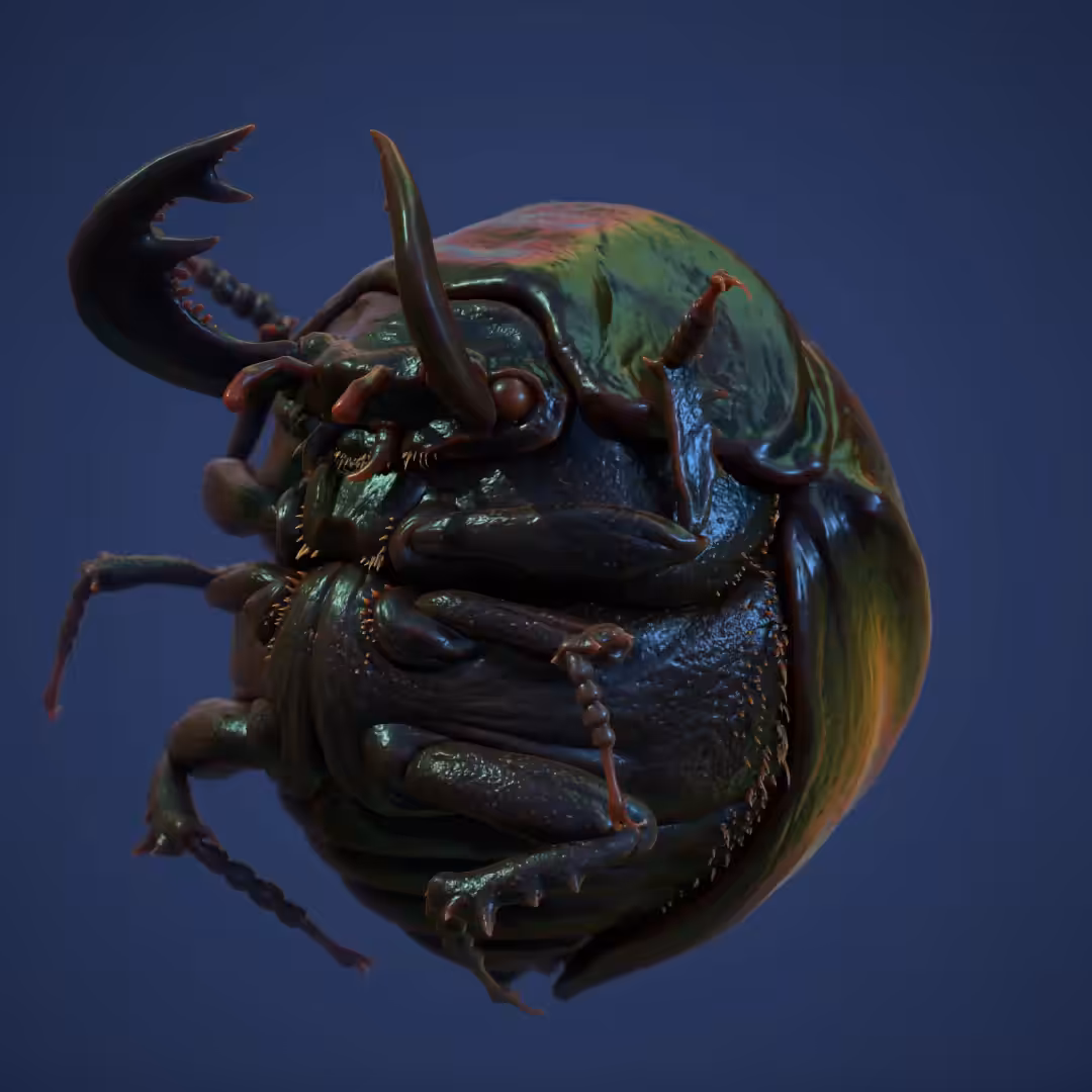Stag Beetle