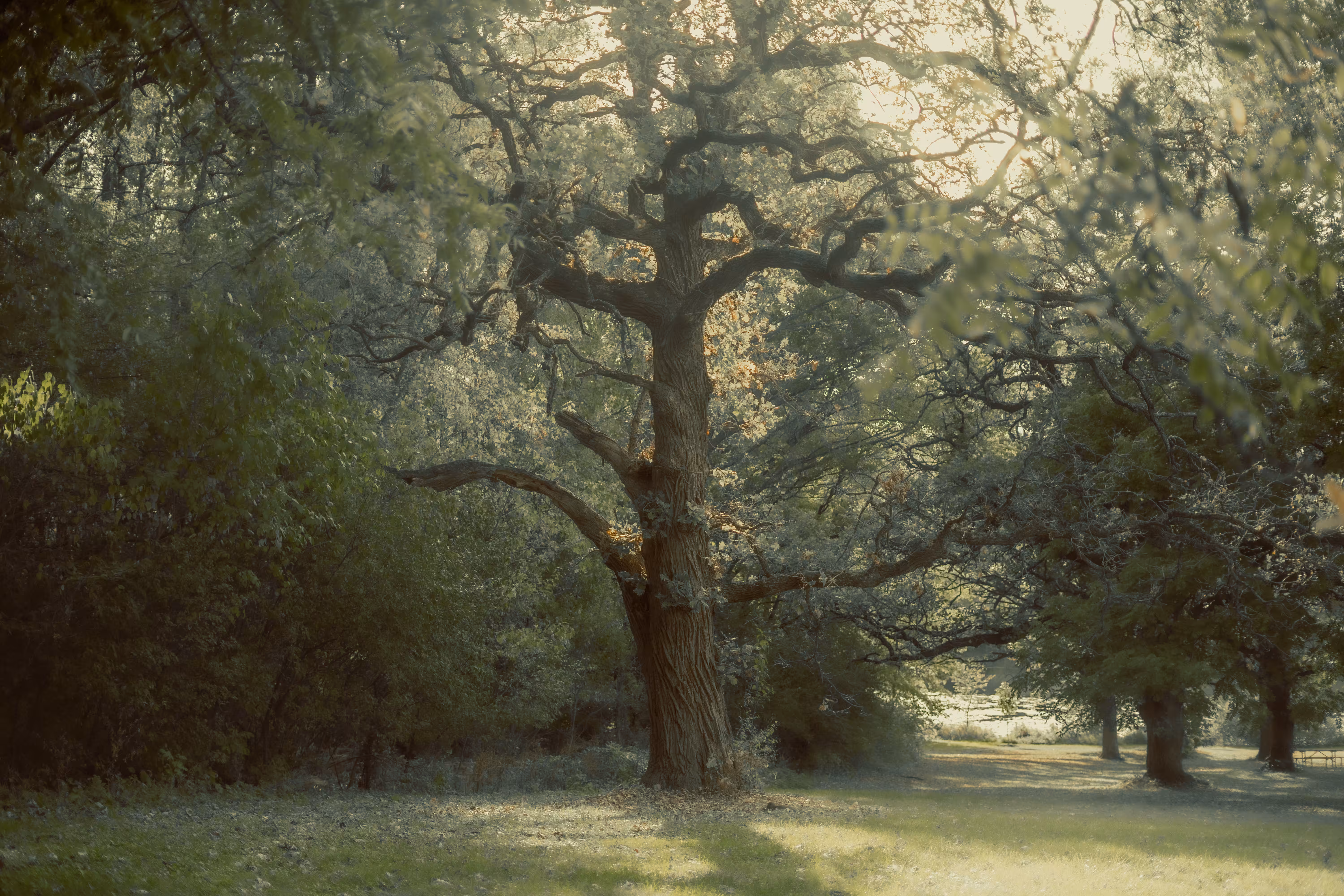 Toska