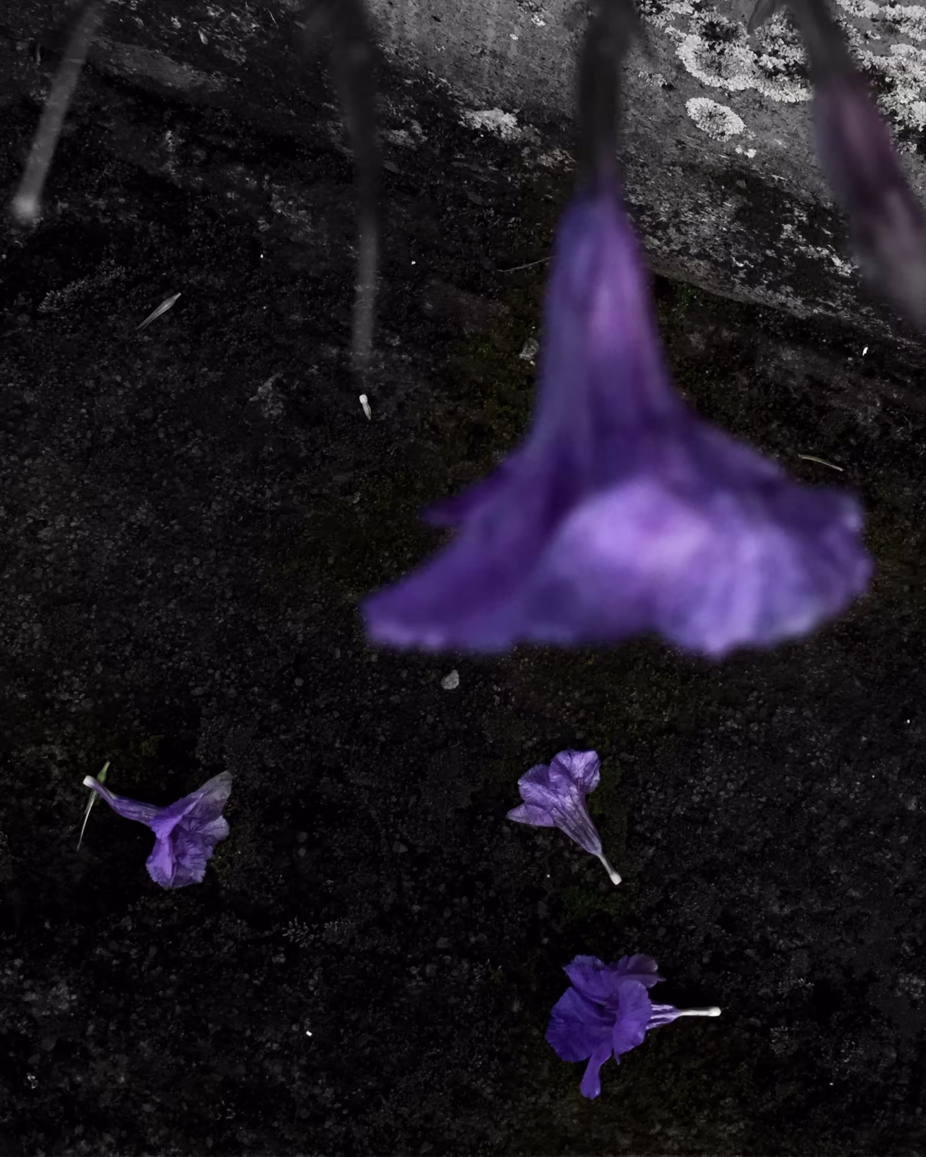 Color Illusion