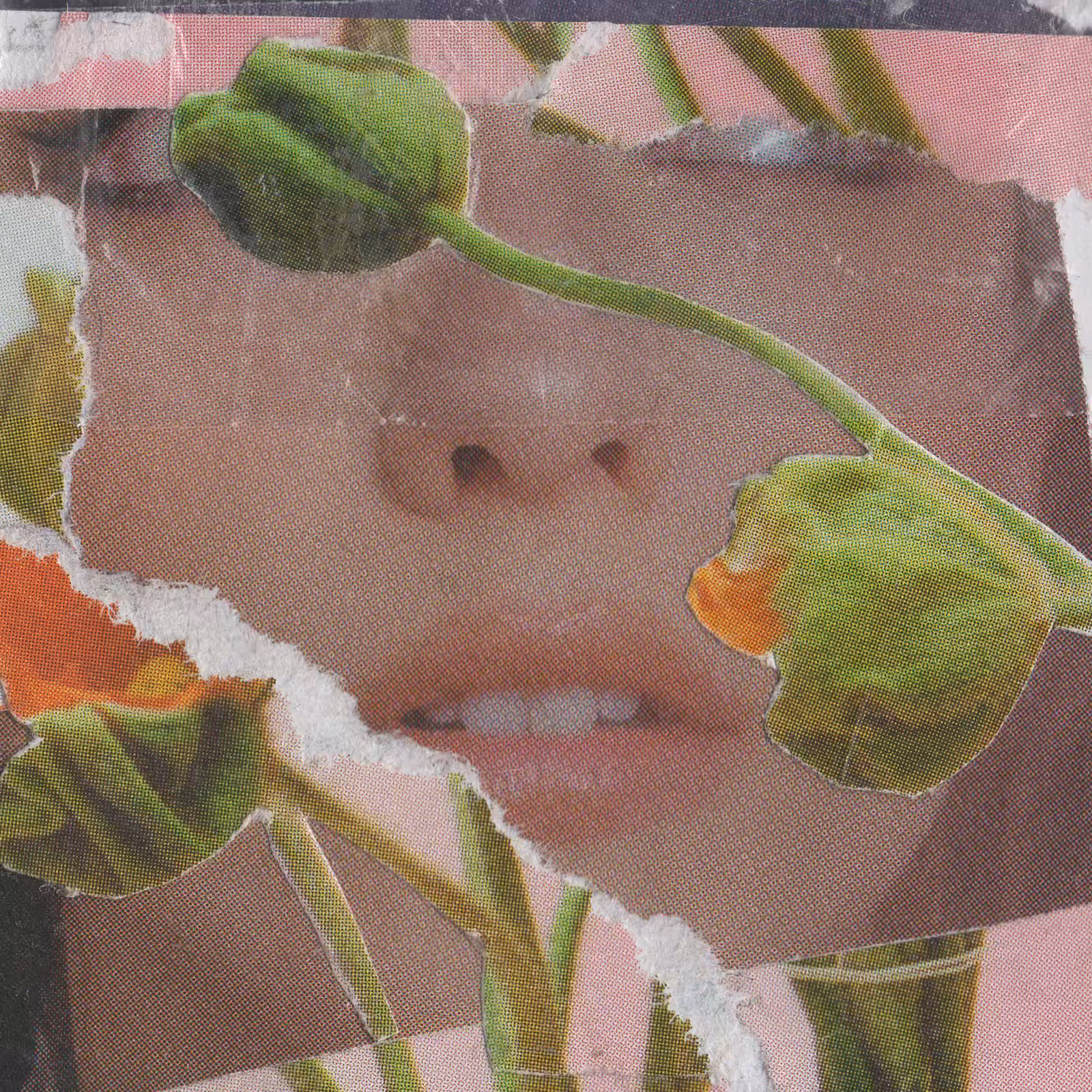 1mouth analog #68