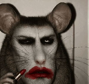 Marilyn Mouse