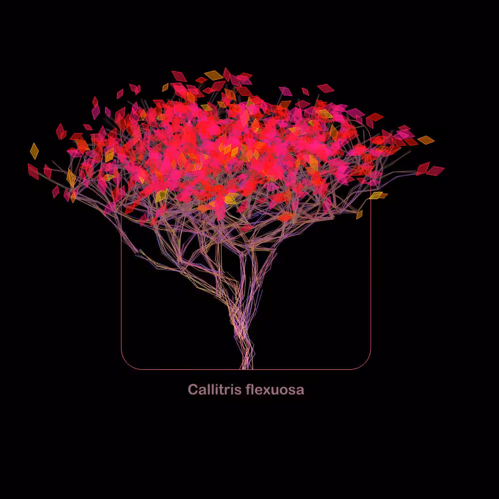 Fluidynamix - Trees #6