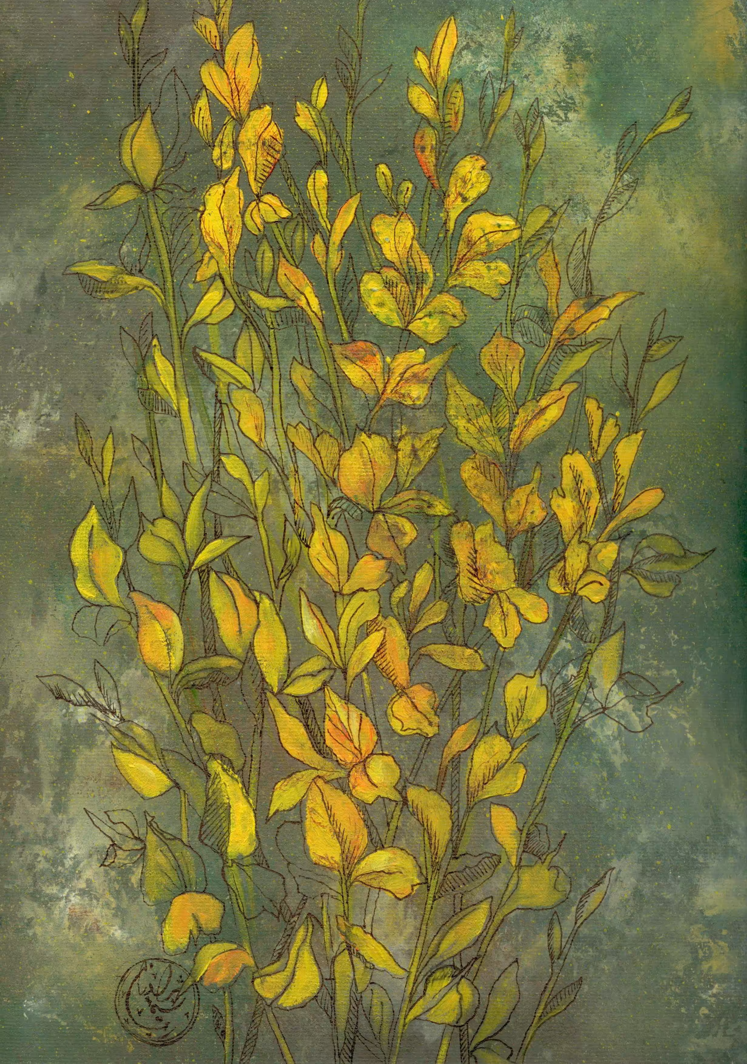 YELLOW JASMINE…"MAGIC OF NATURE"