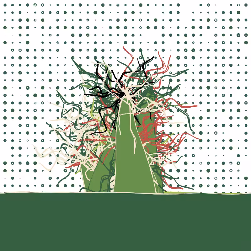 The Good Corals #31