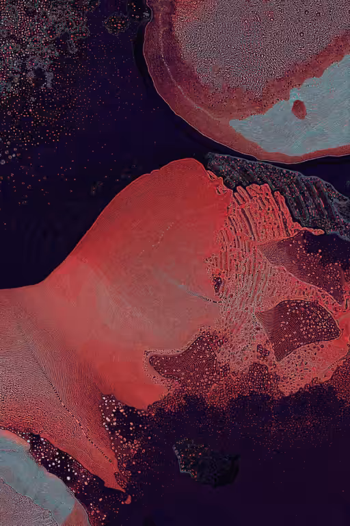 Dactylogram #29