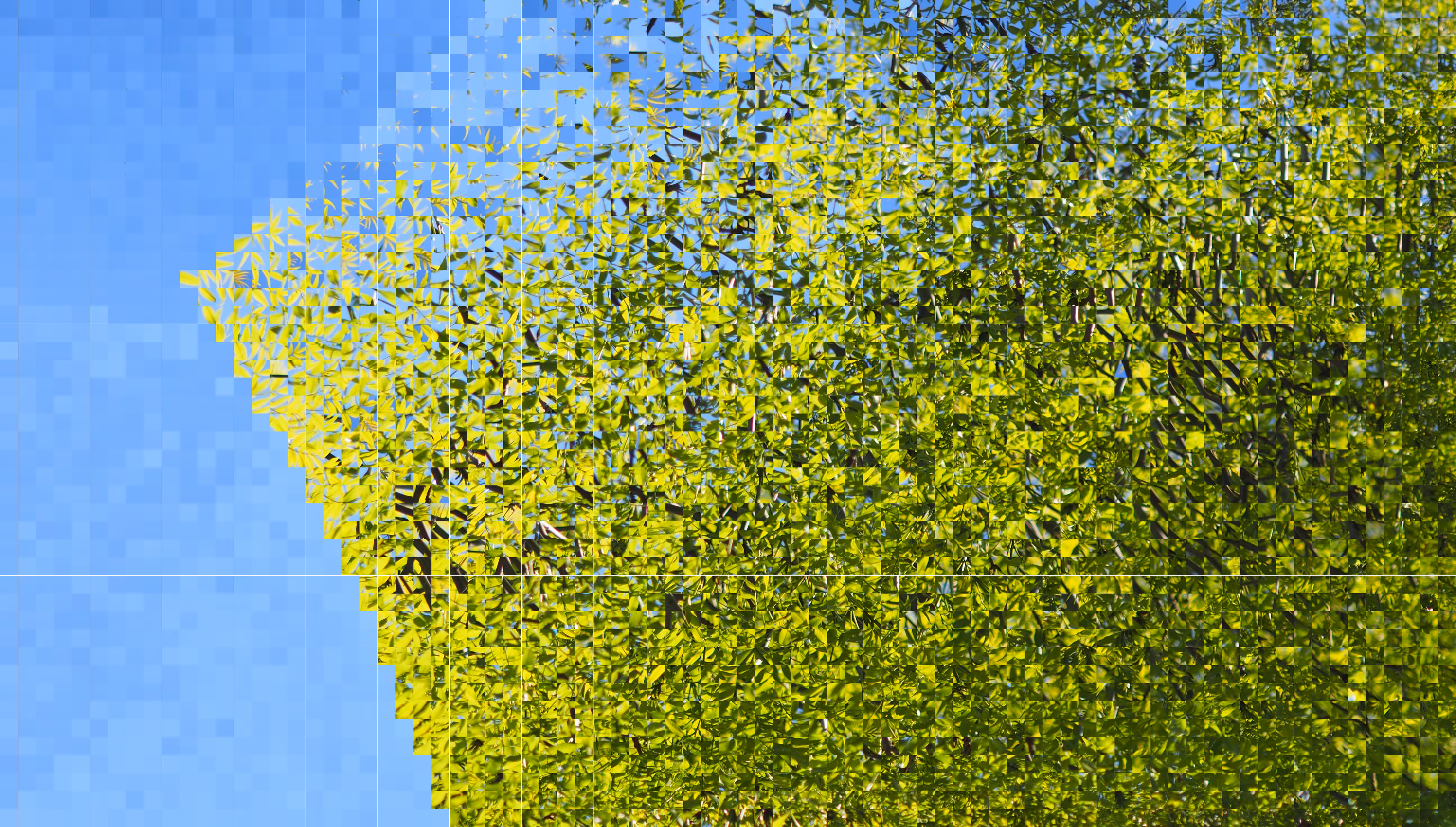 Tree arranged