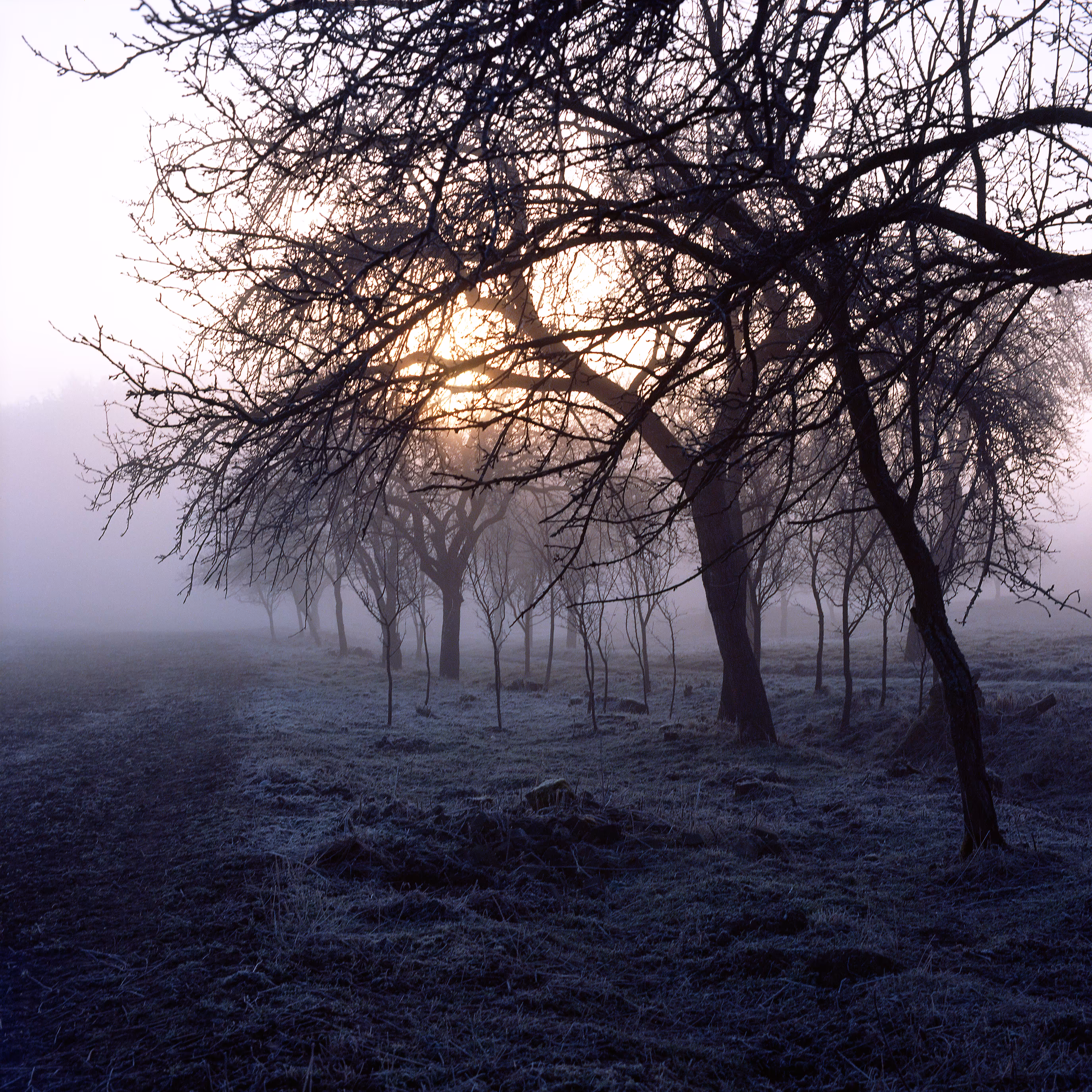 First sunlight in the cold morning