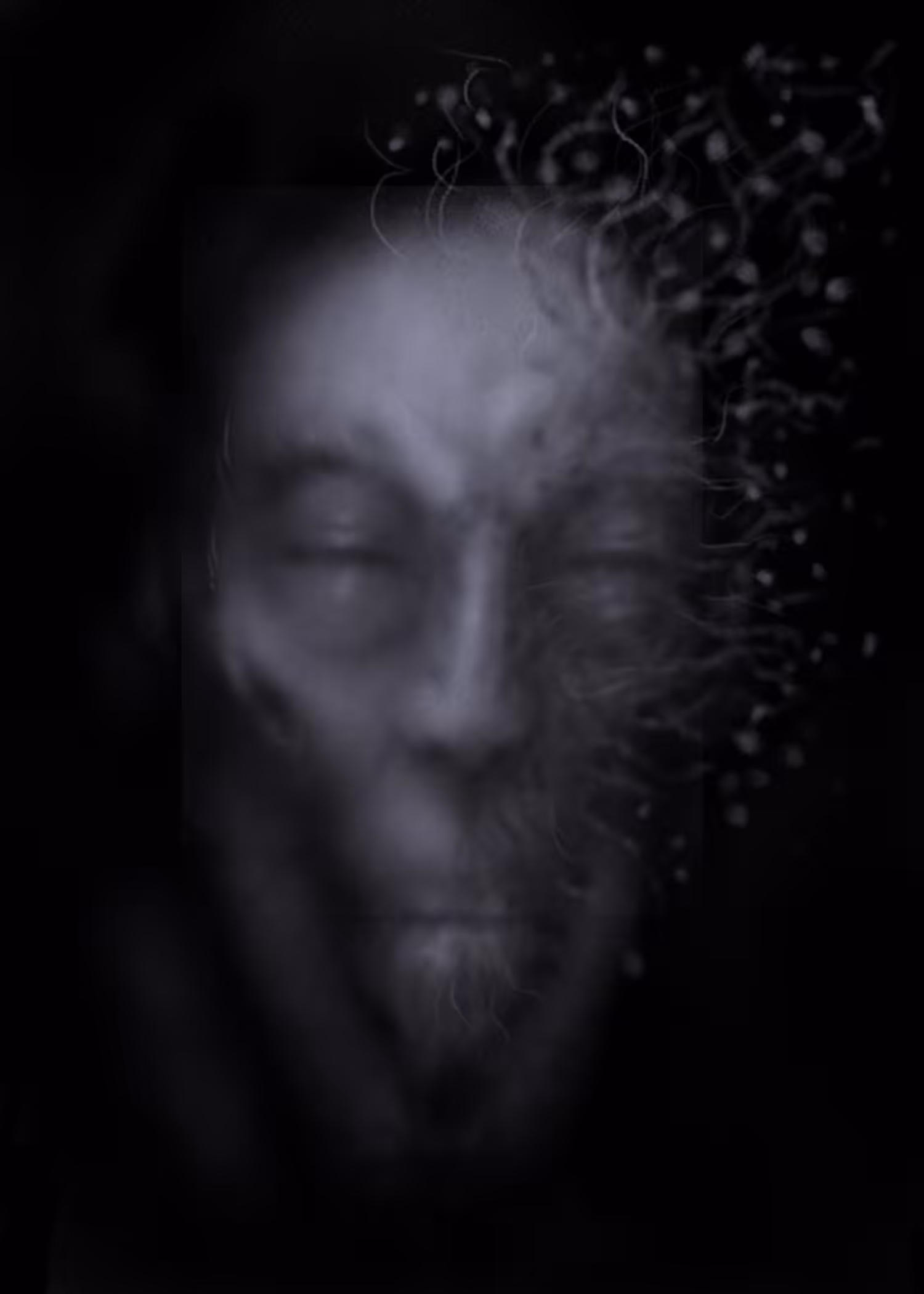 Spores 