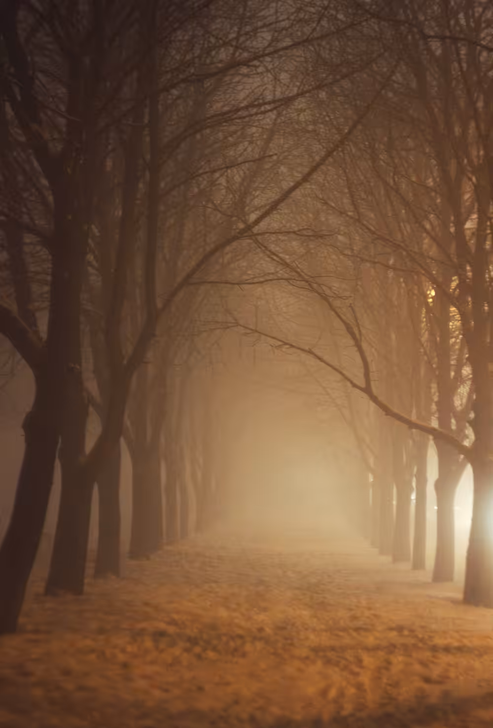 Fog