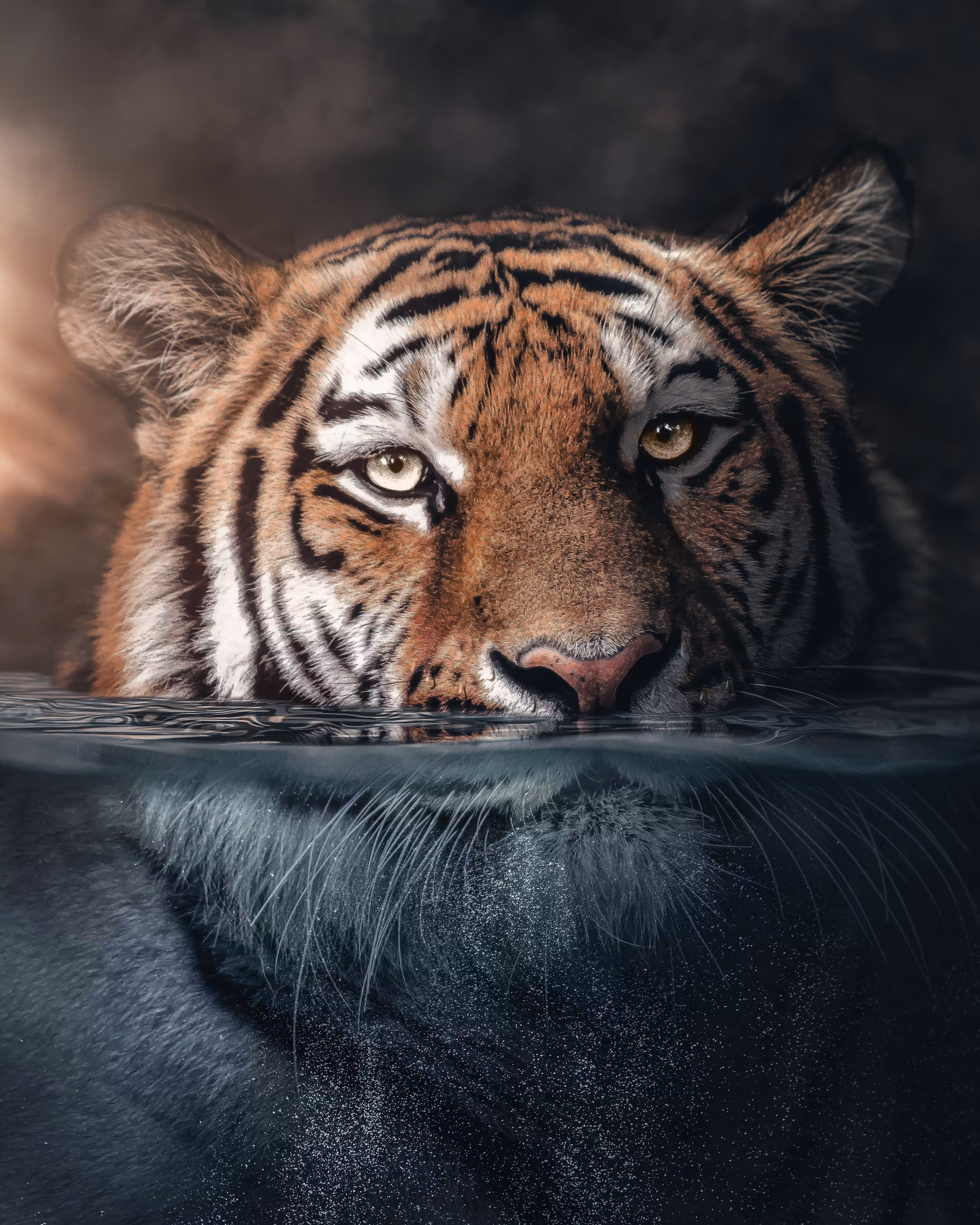 Underwater Tiger