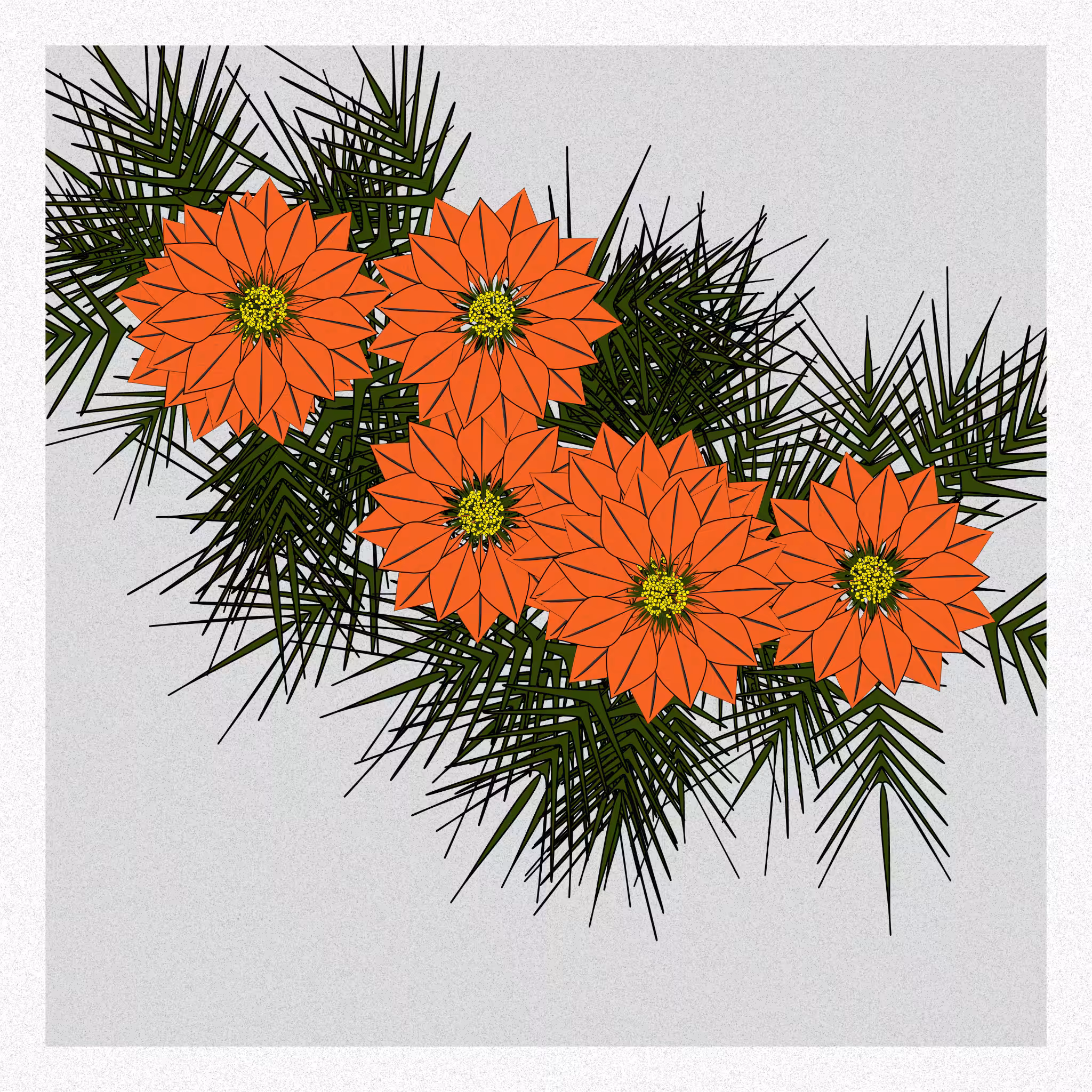 Flowers #166