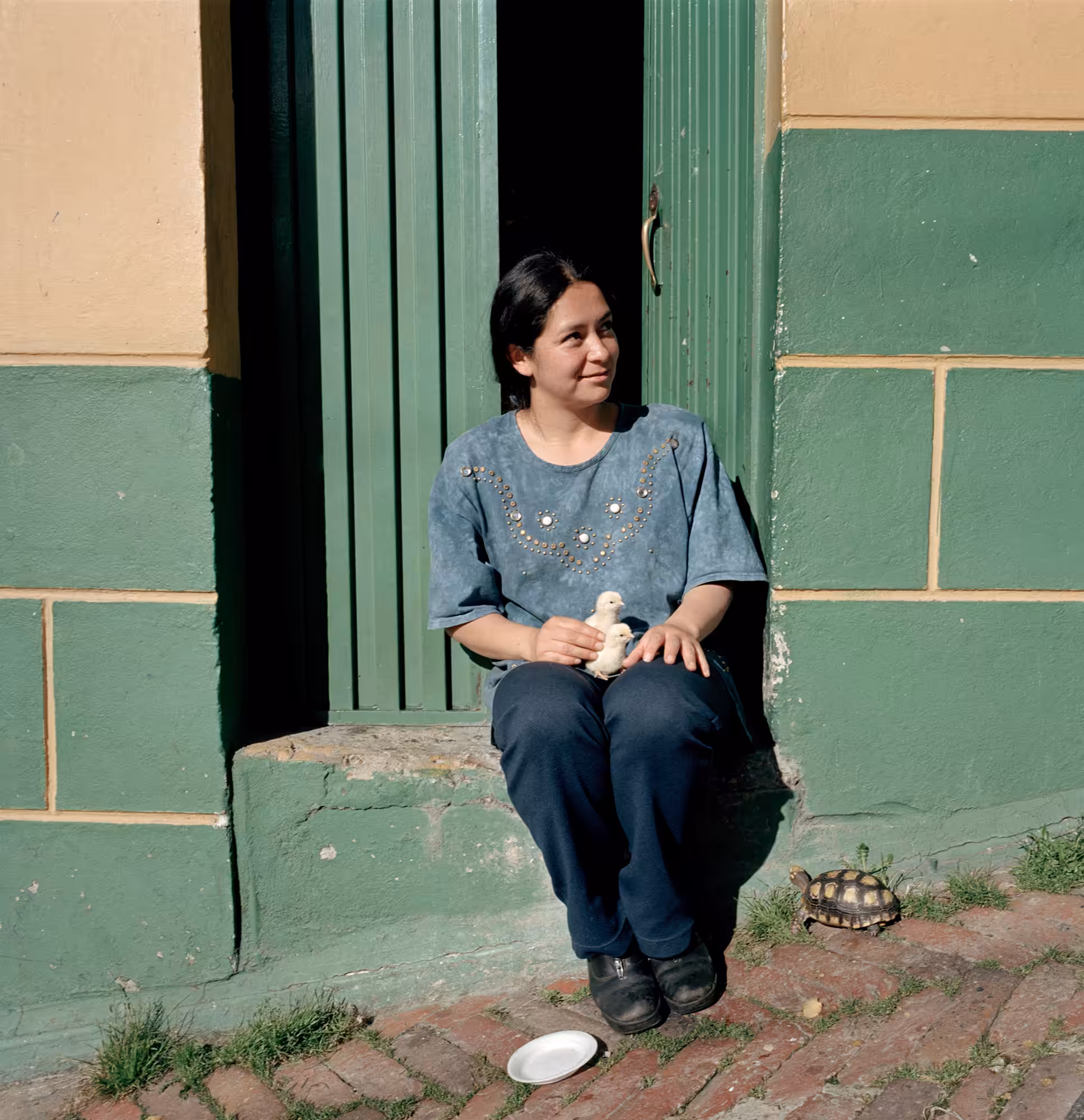 Dog Days, Bogotá #49