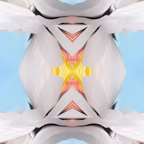 GRAVIZ#35