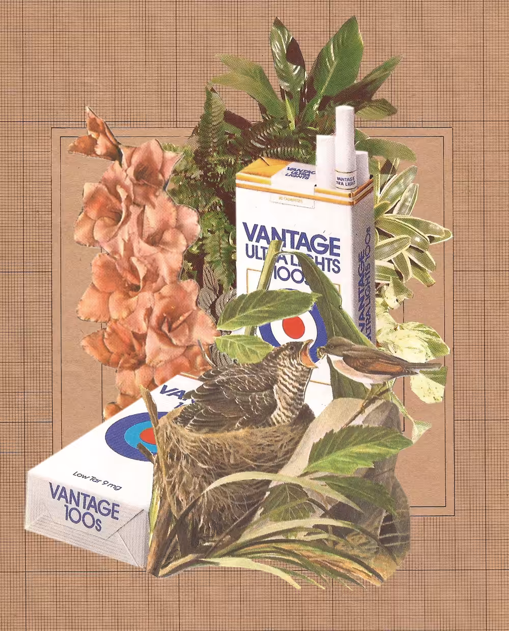 Cigarettes and birds