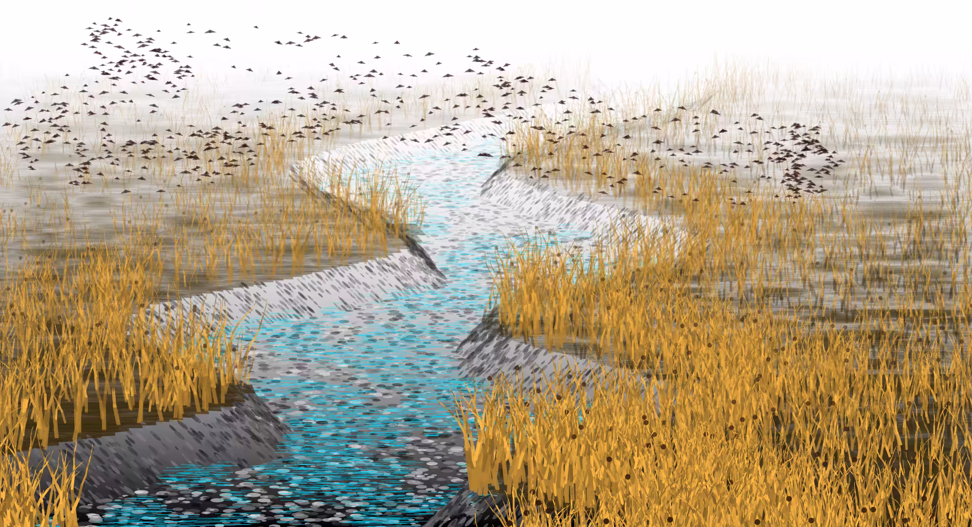 Wetlands #32