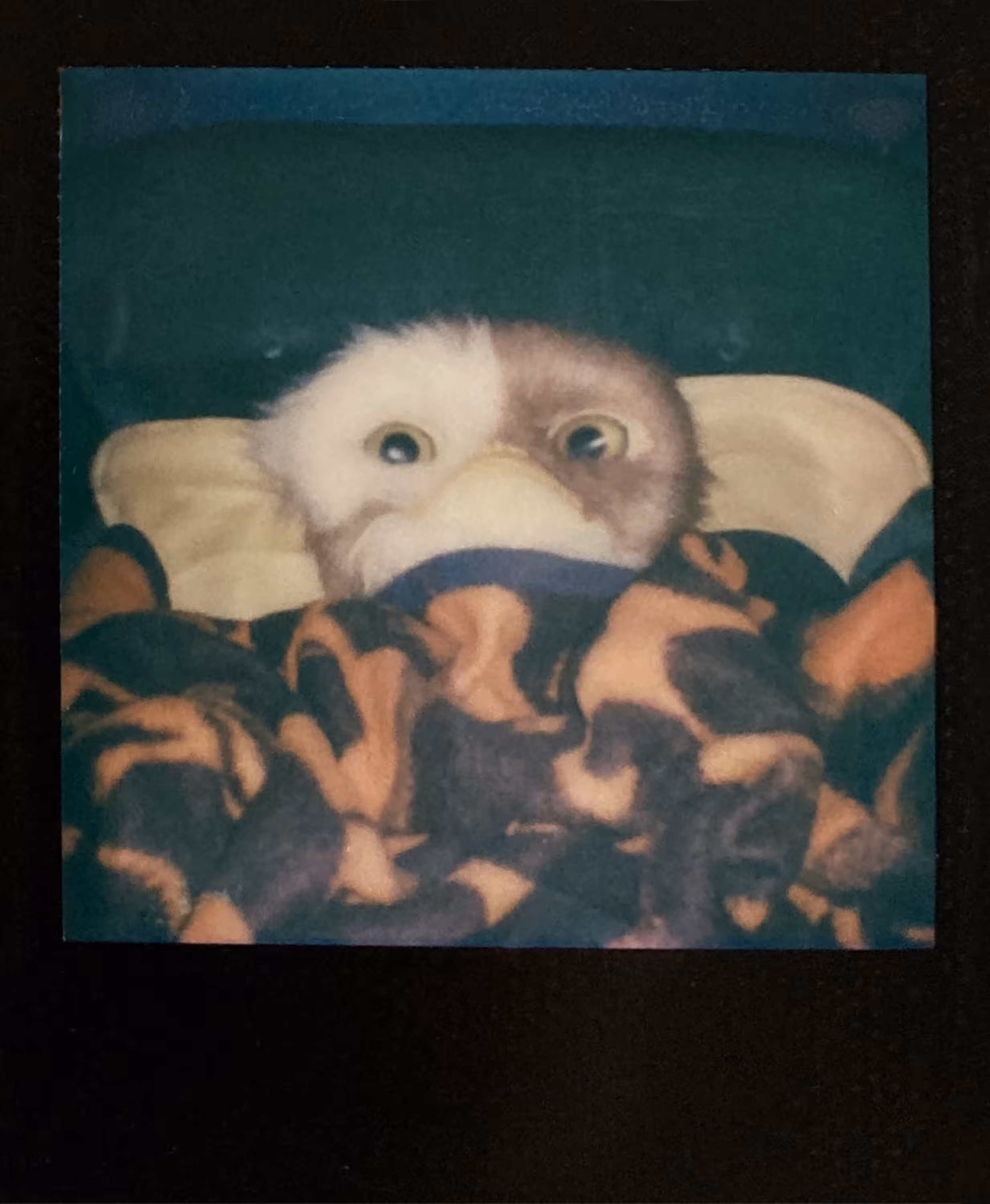Polaroids: GOonies 3