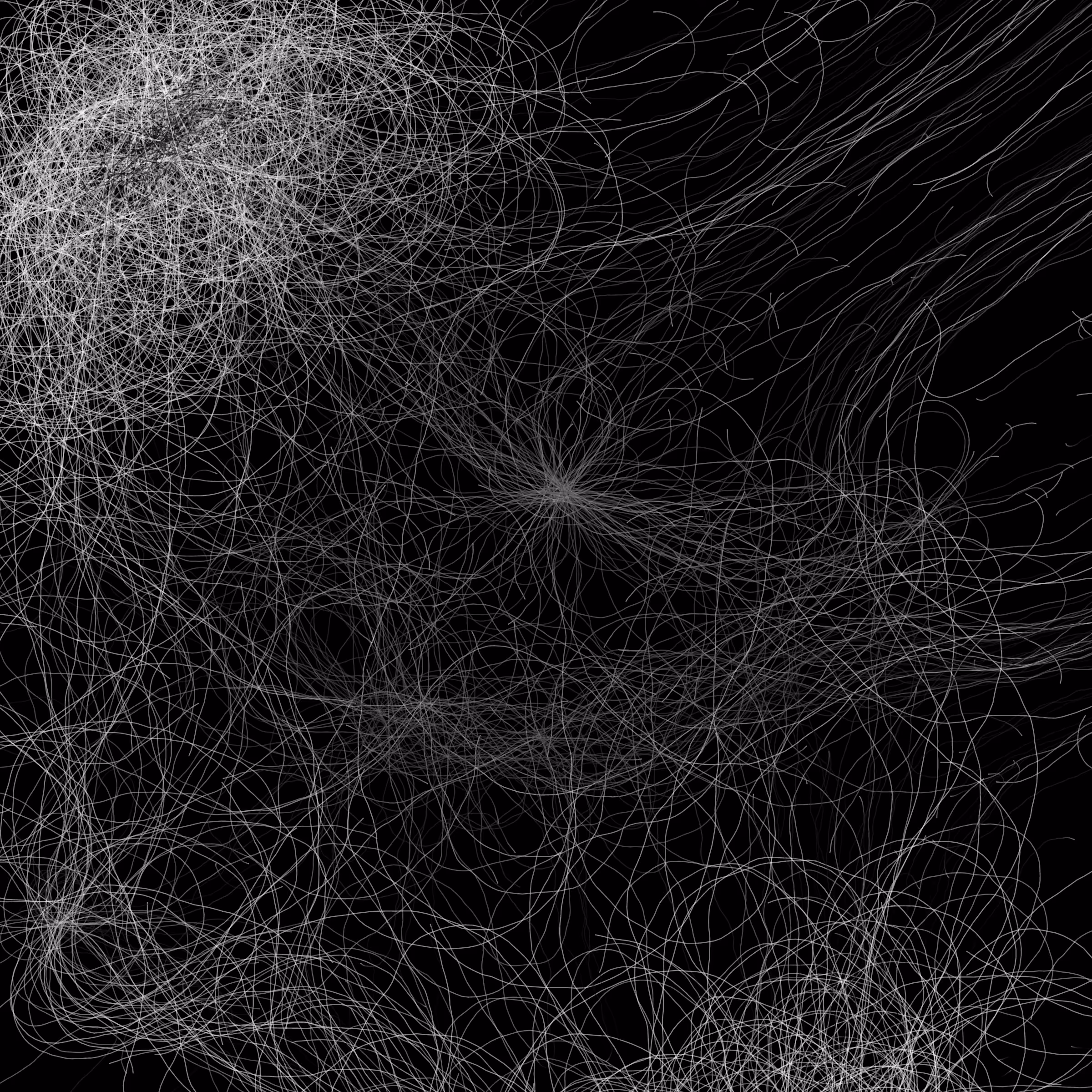 Phototaxis #661