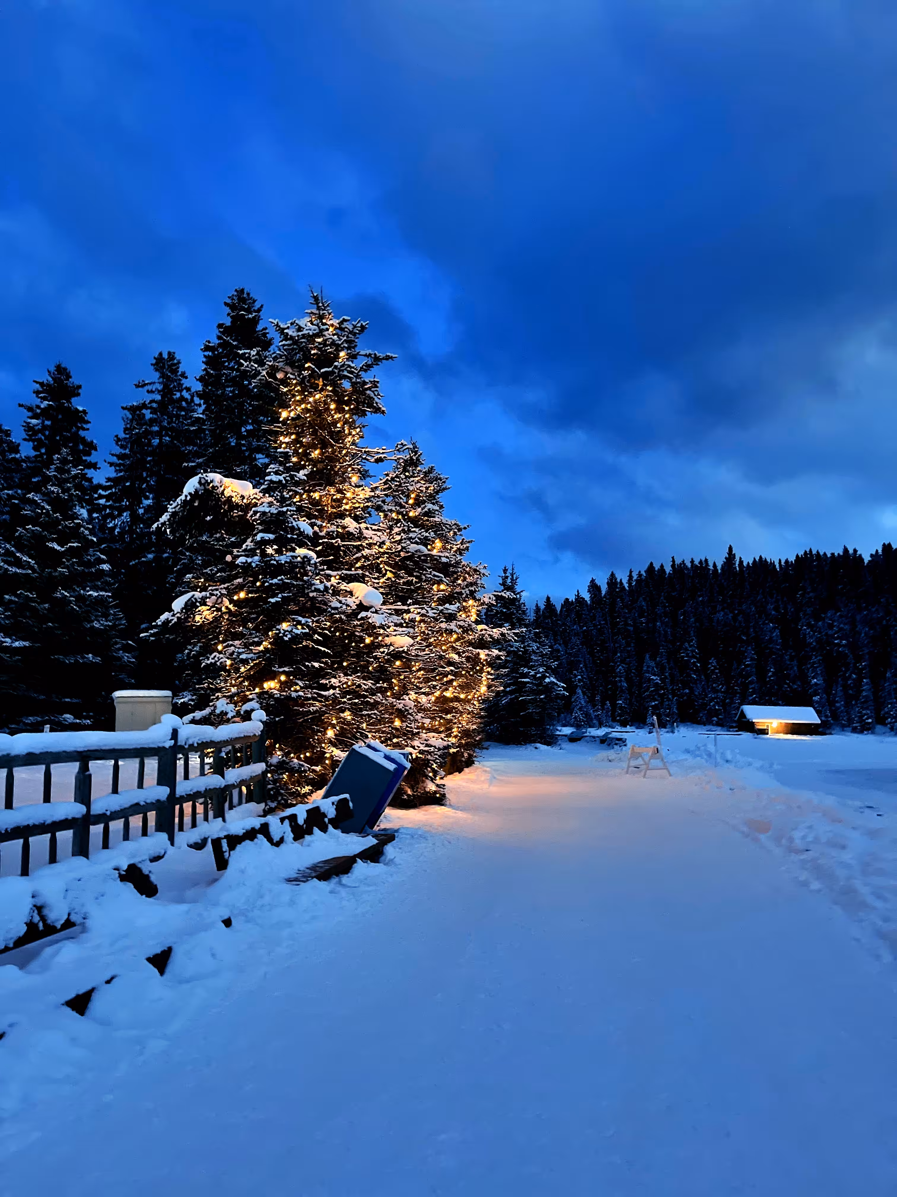 Silent Night
