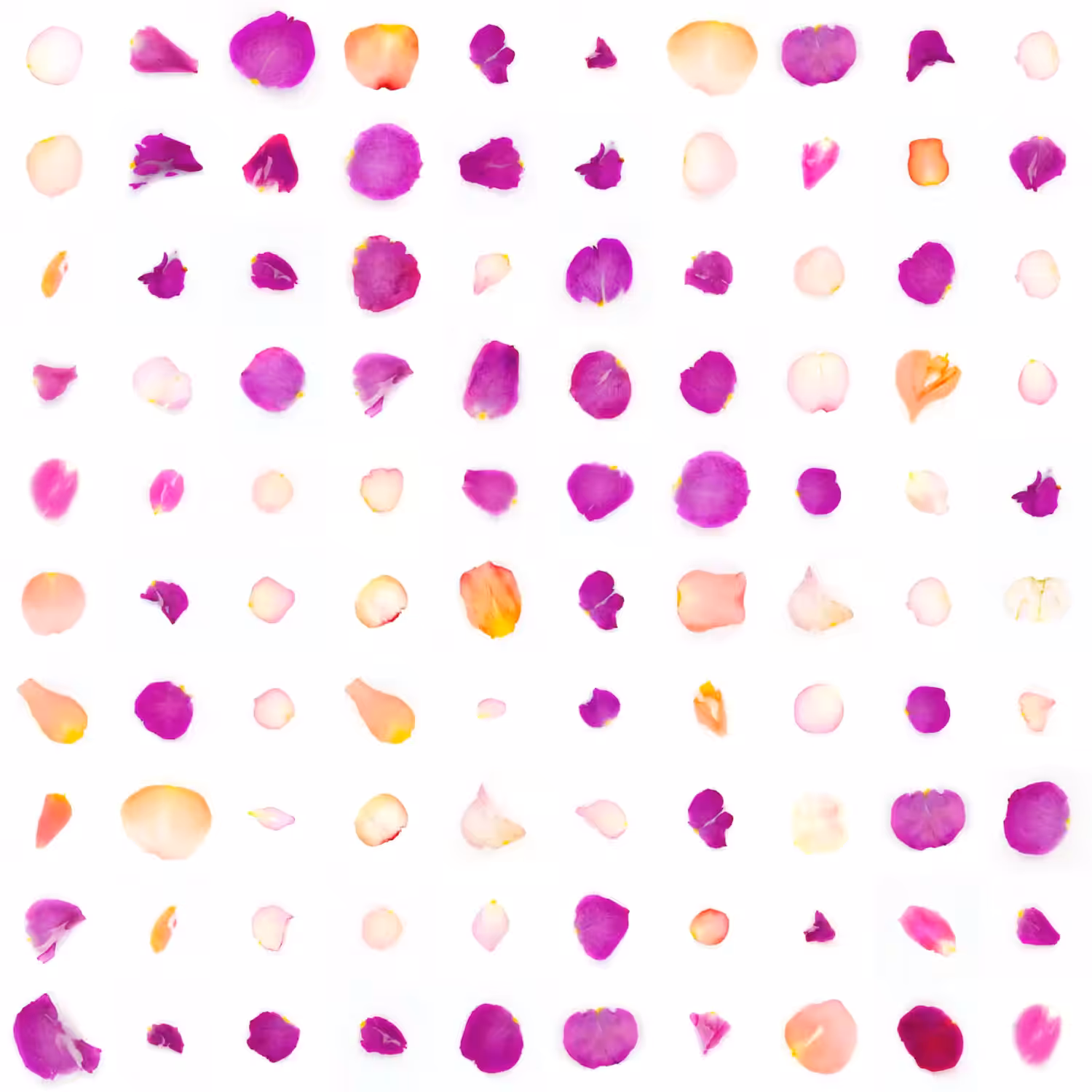 Infinite Petals 10x10#20025