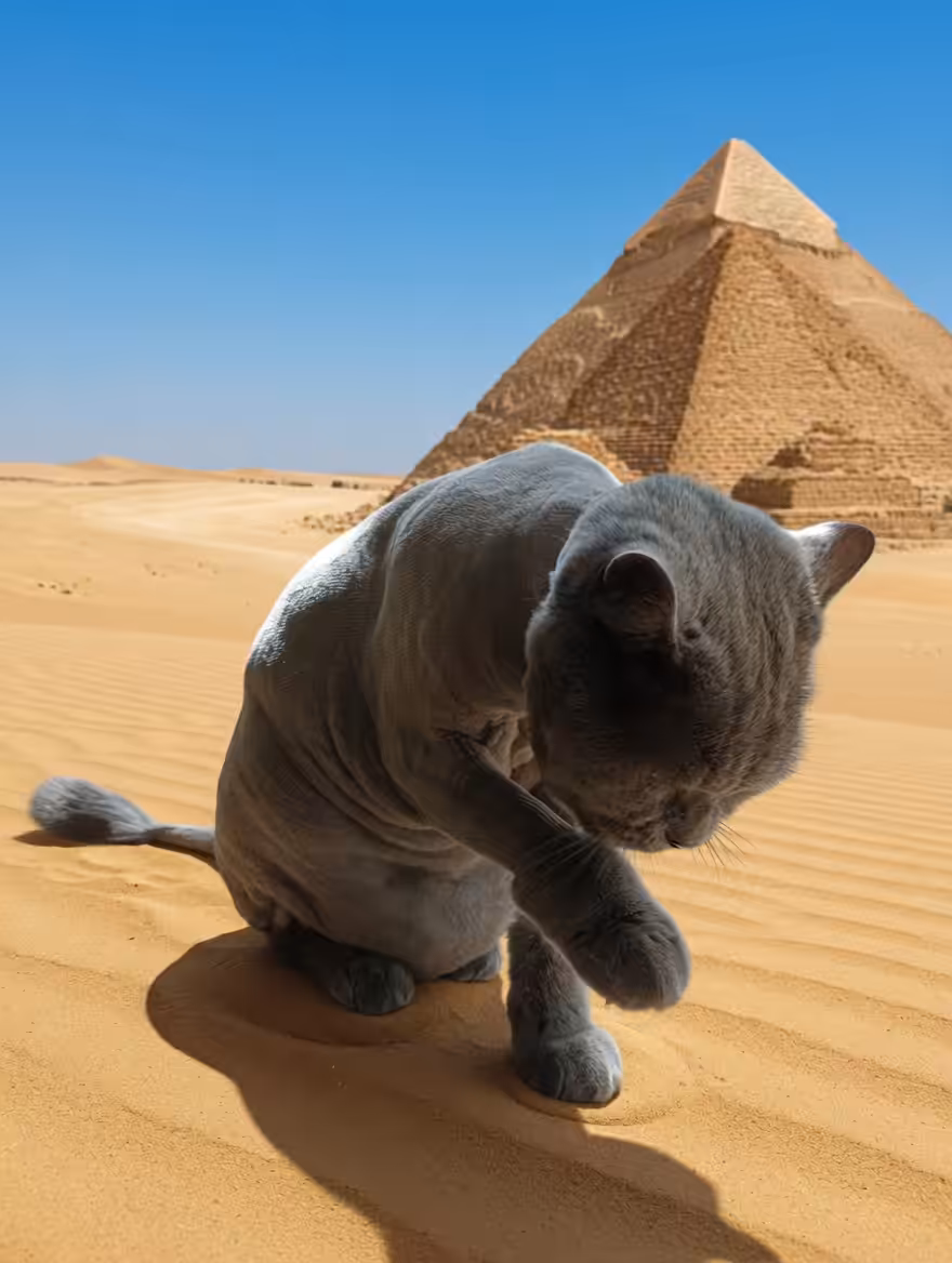 Pyramids. And where is the sphinx?